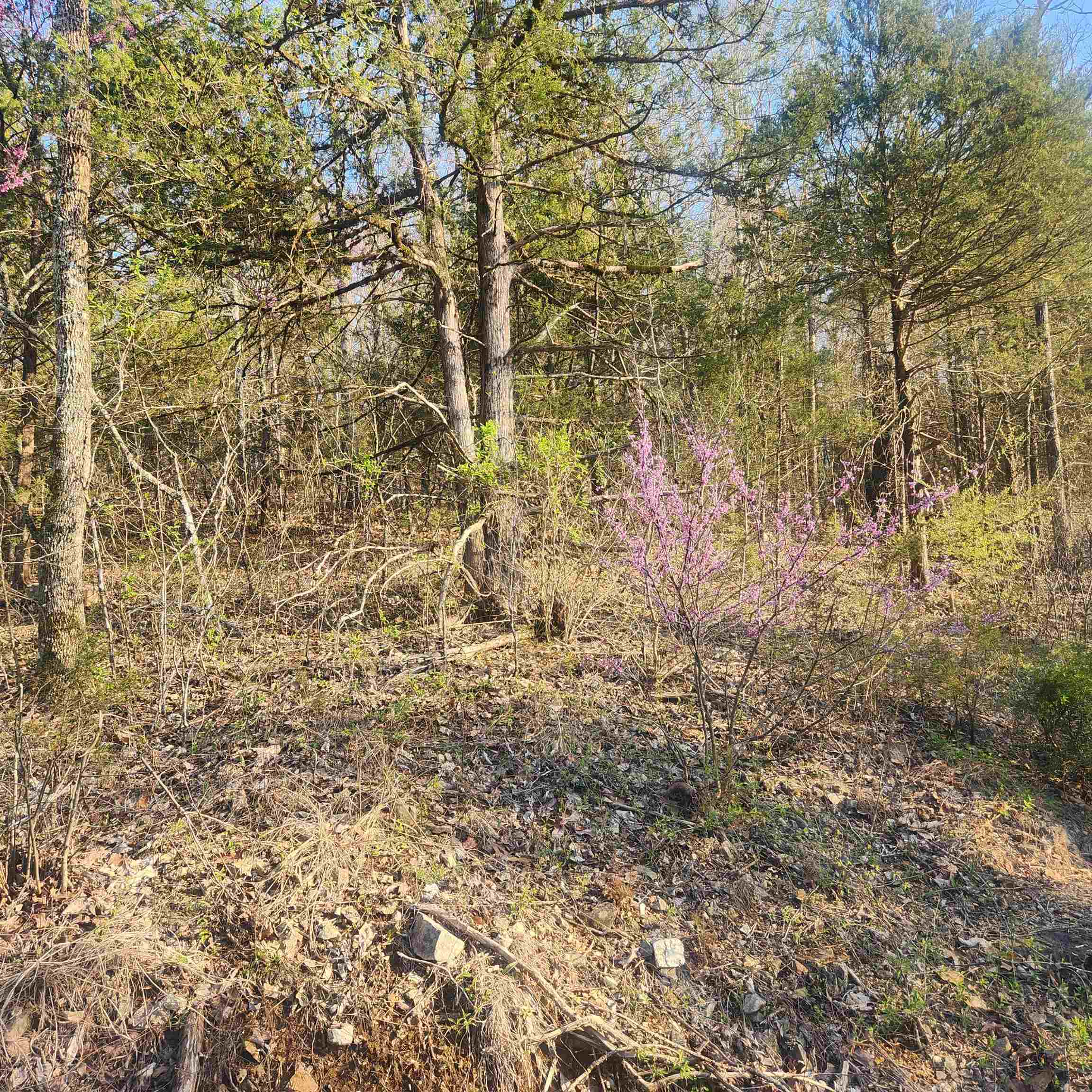 Photo 3 - Vacant Land for sale – L-12, B-8  Choctaw   Cherokee Village, AR