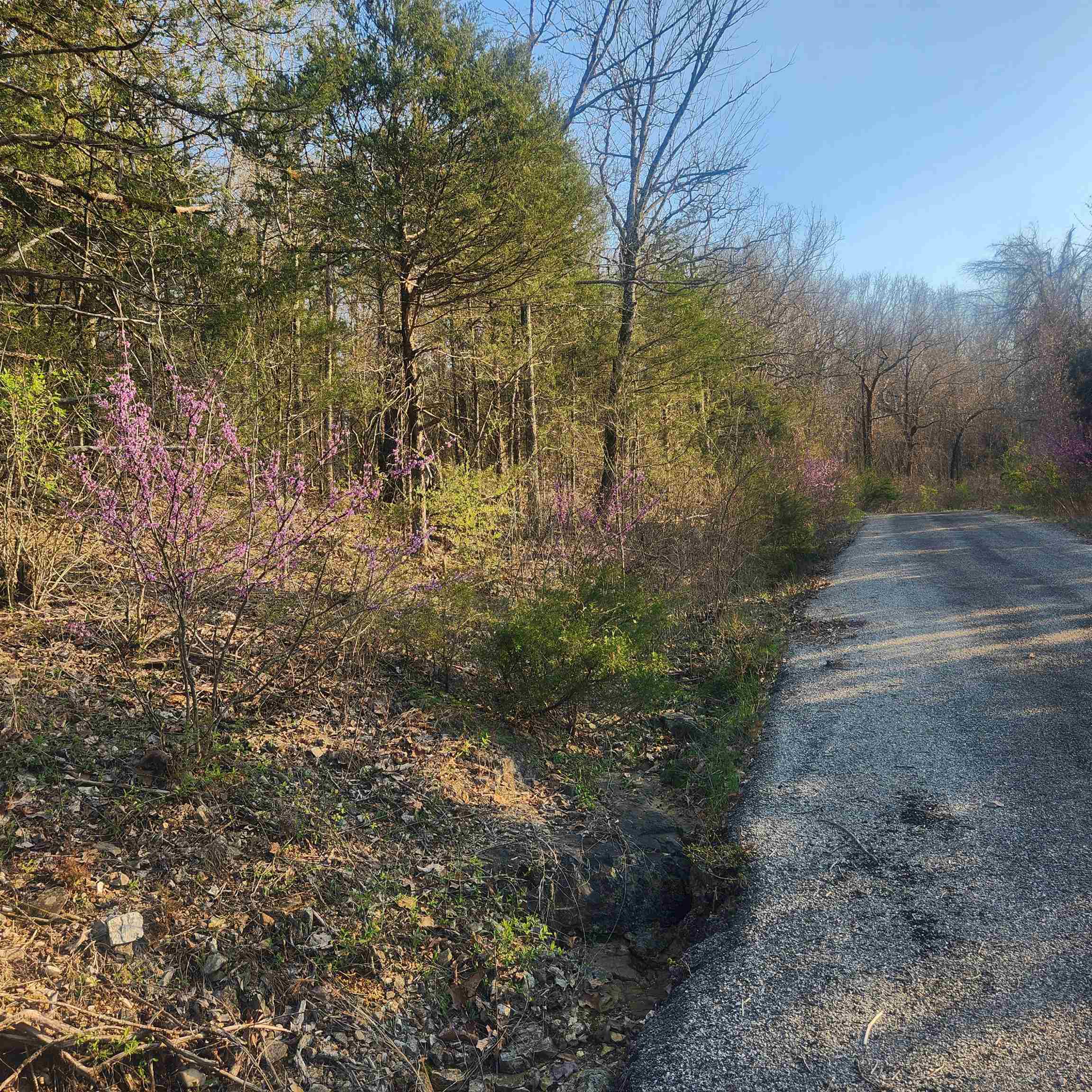 Photo 4 - Vacant Land for sale – L-12, B-8  Choctaw   Cherokee Village, AR