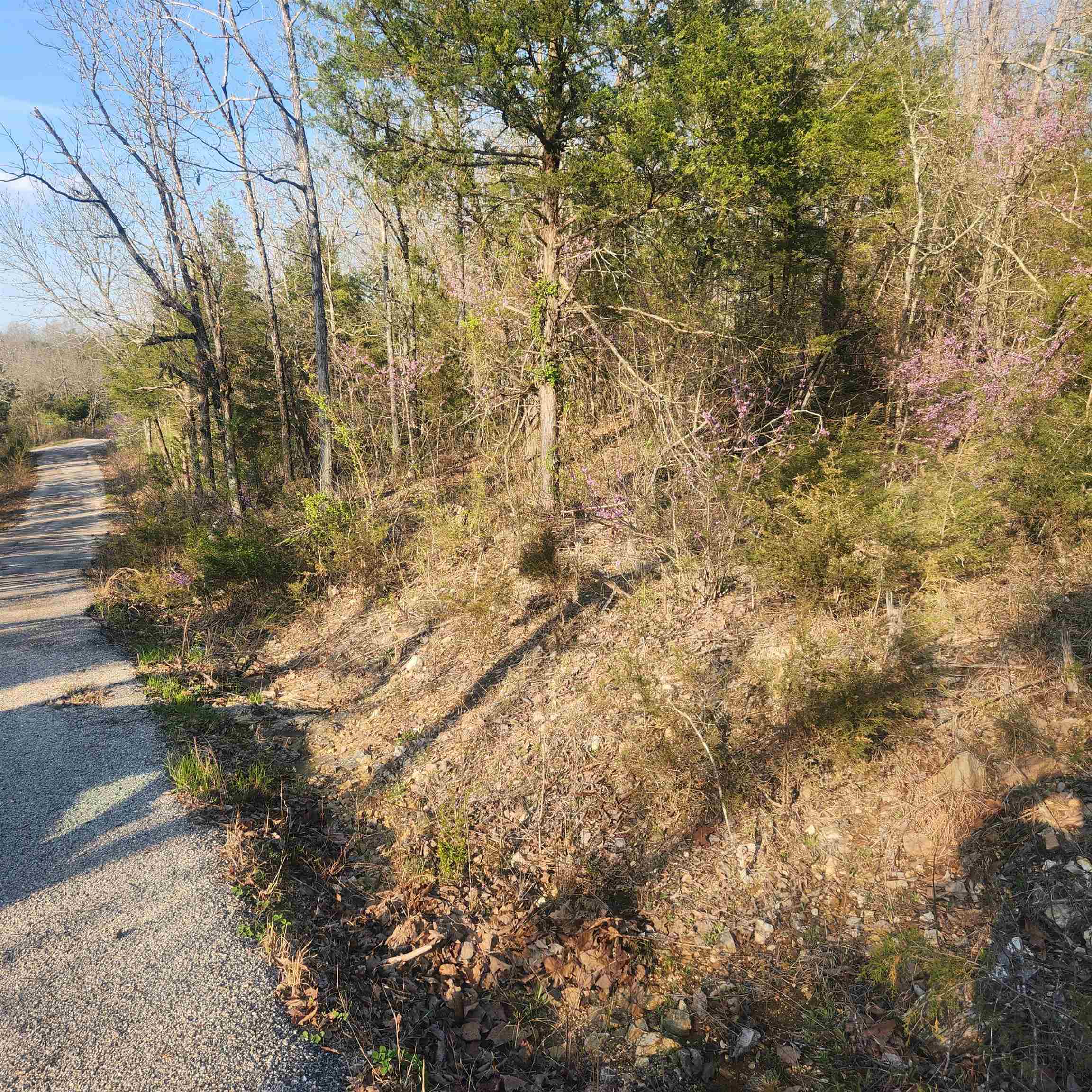Photo 5 - Vacant Land for sale – L-12, B-8  Choctaw   Cherokee Village, AR