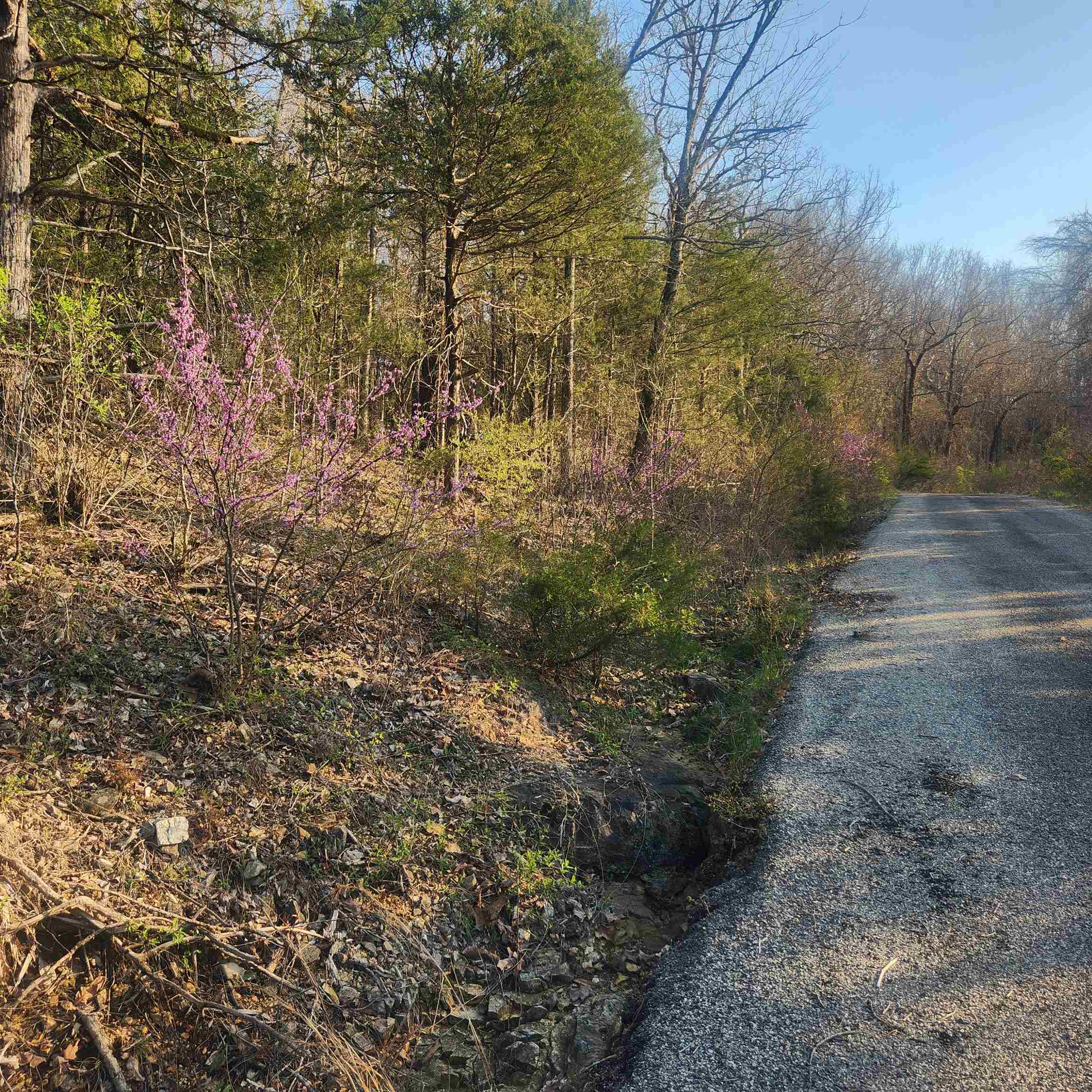 Photo 6 - Vacant Land for sale – L-12, B-8  Choctaw   Cherokee Village, AR