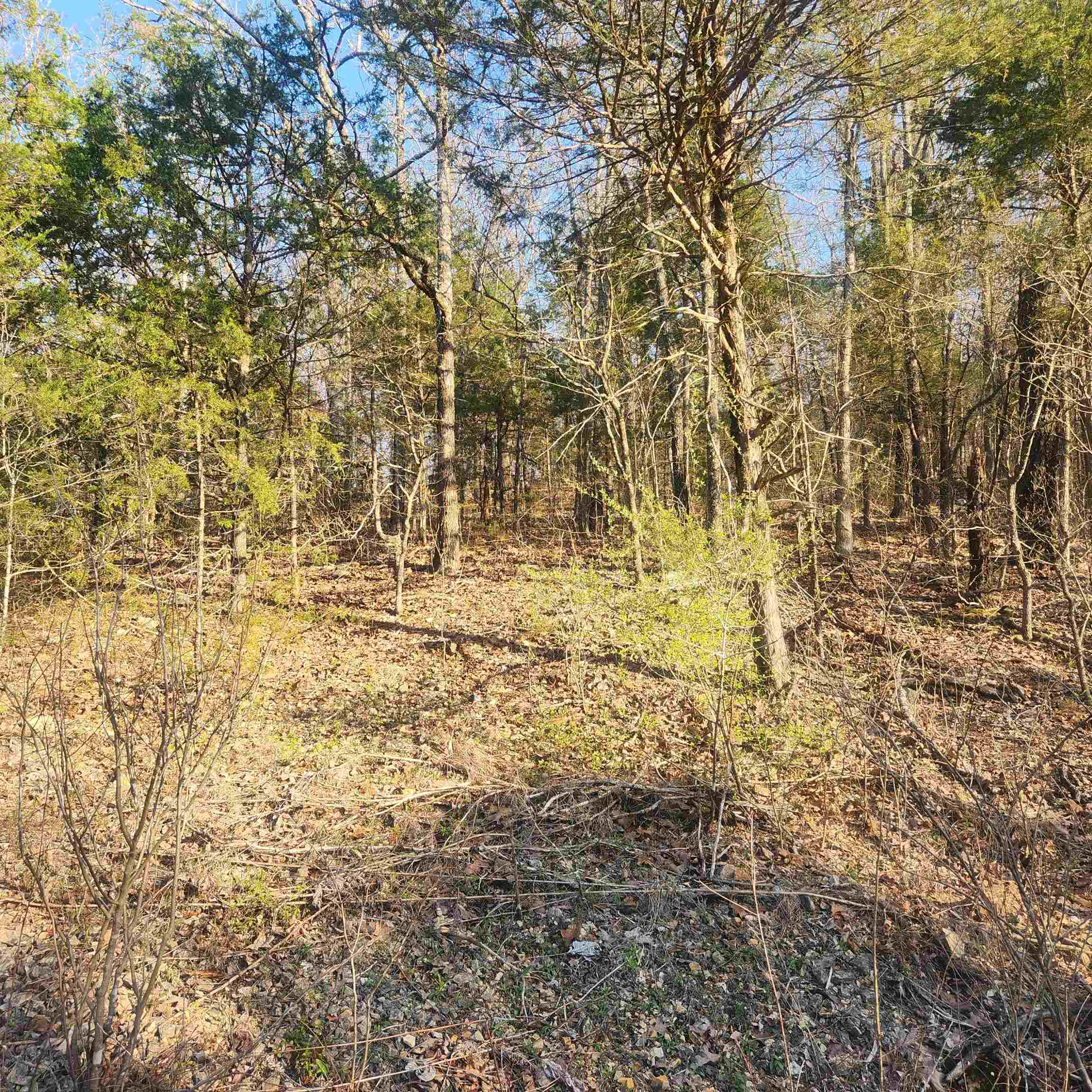 Photo 7 - Vacant Land for sale – L-12, B-8  Choctaw   Cherokee Village, AR