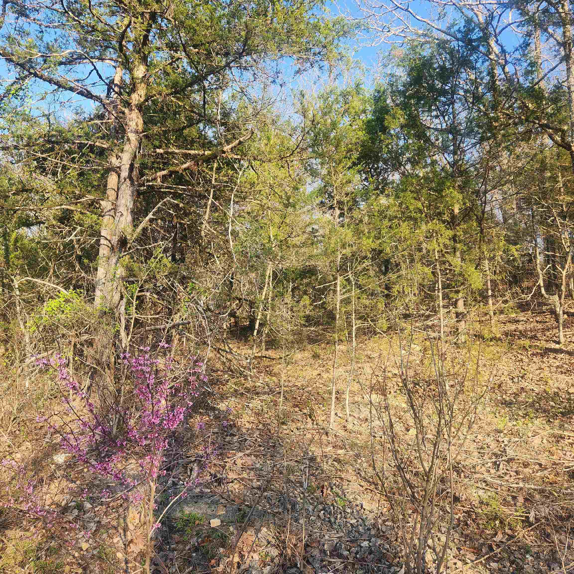 Photo 8 - Vacant Land for sale – L-12, B-8  Choctaw   Cherokee Village, AR
