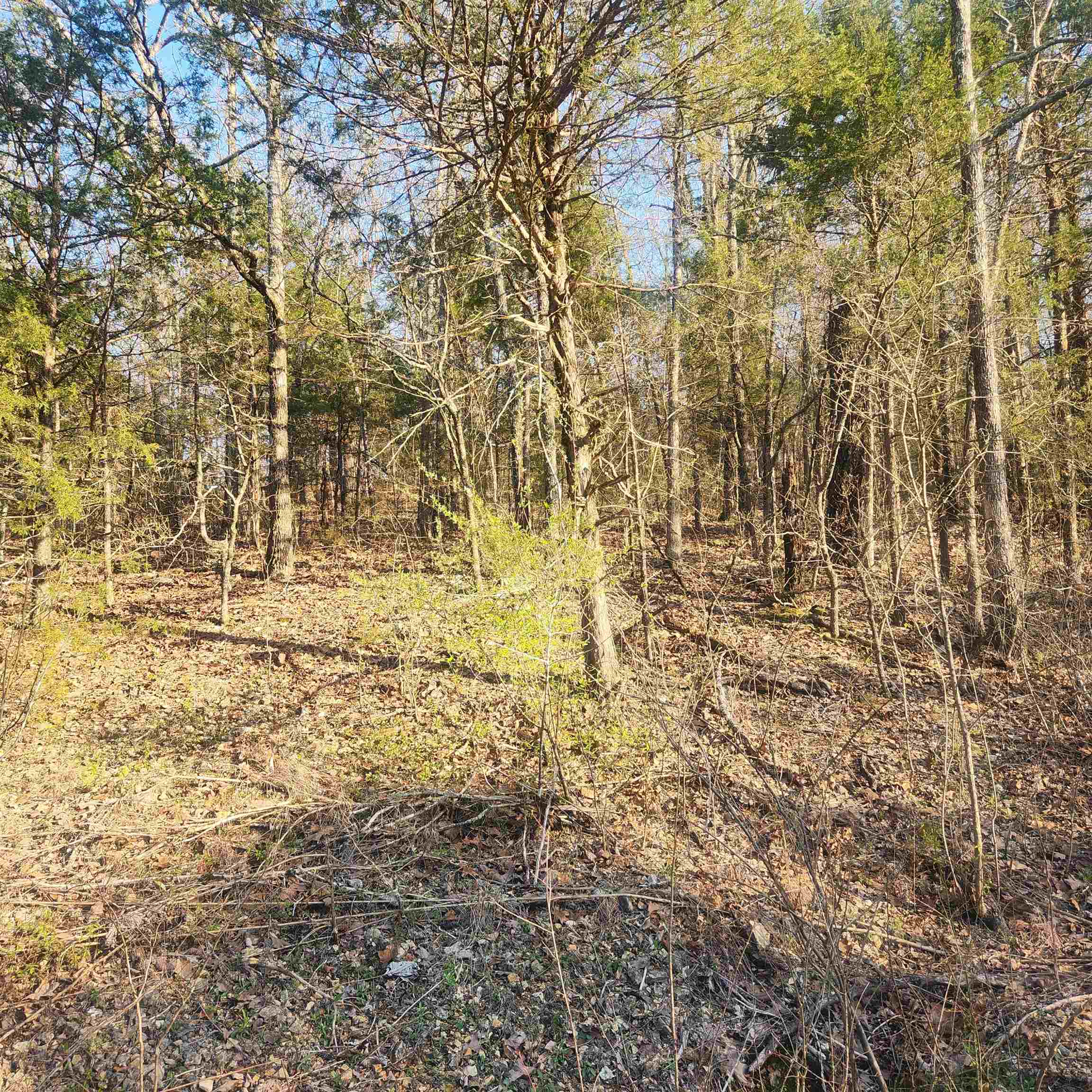 Photo 9 - Vacant Land for sale – L-12, B-8  Choctaw   Cherokee Village, AR
