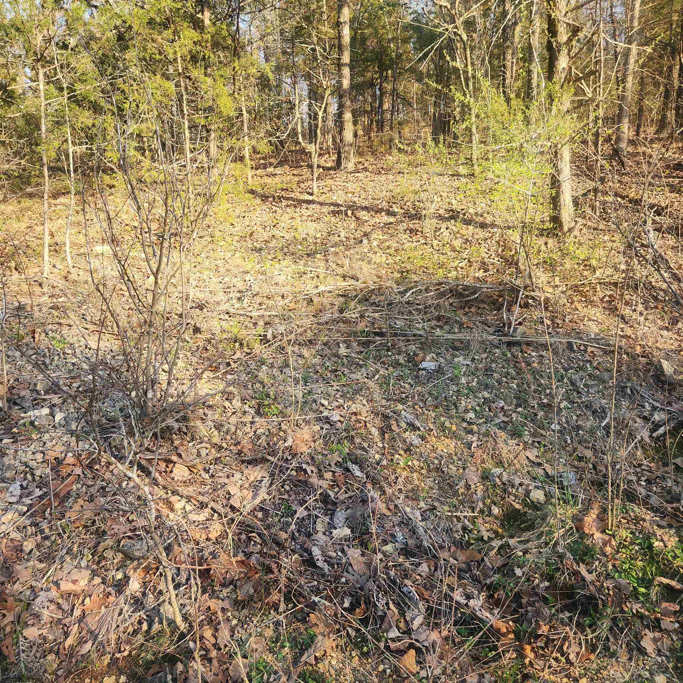 Photo 10 - Vacant Land for sale – L-12, B-8  Choctaw   Cherokee Village, AR