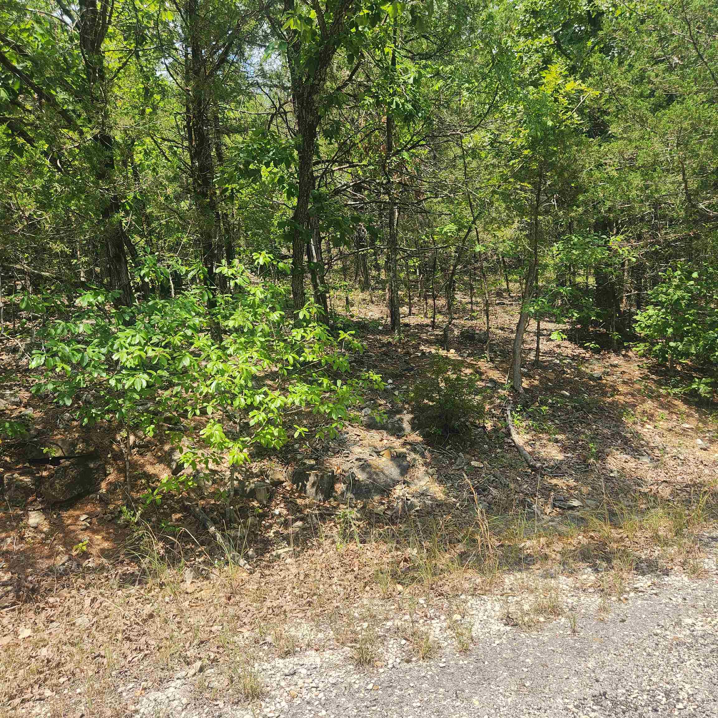 Vacant Land for sale – L-61, B-7  Lochloosa   Cherokee Village, AR
