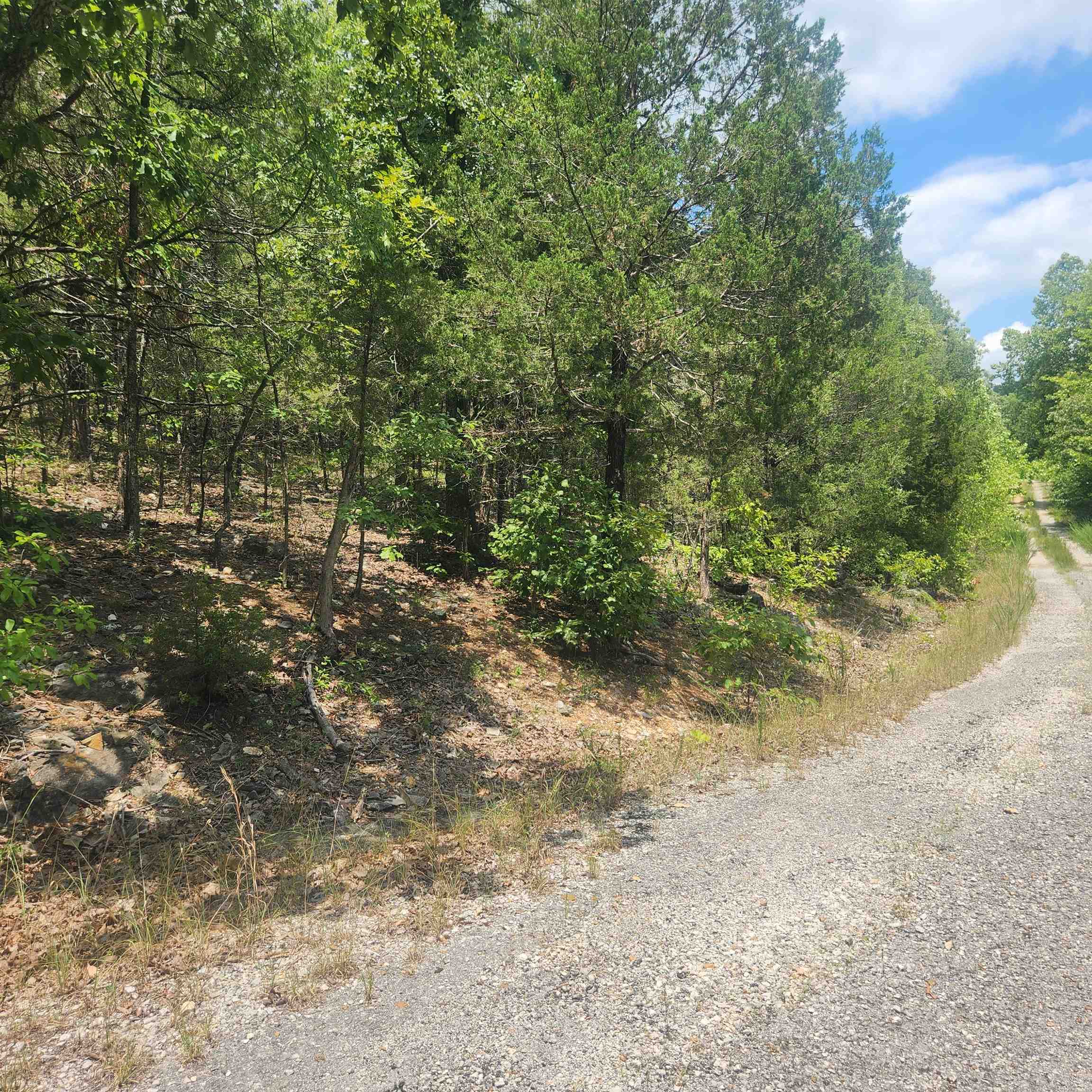 Photo 2 - Vacant Land for sale – L-61, B-7  Lochloosa   Cherokee Village, AR