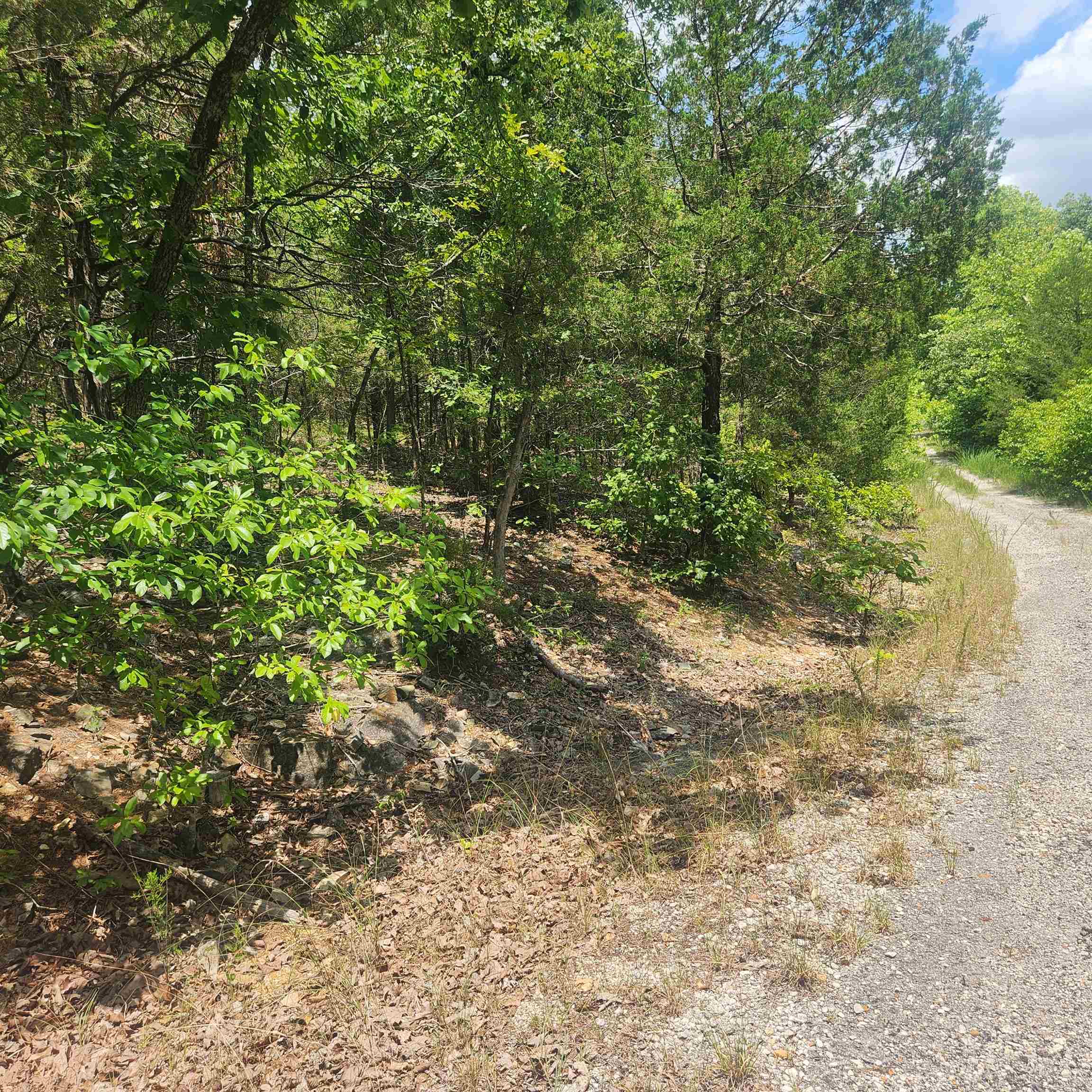 Photo 11 - Vacant Land for sale – L-61, B-7  Lochloosa   Cherokee Village, AR