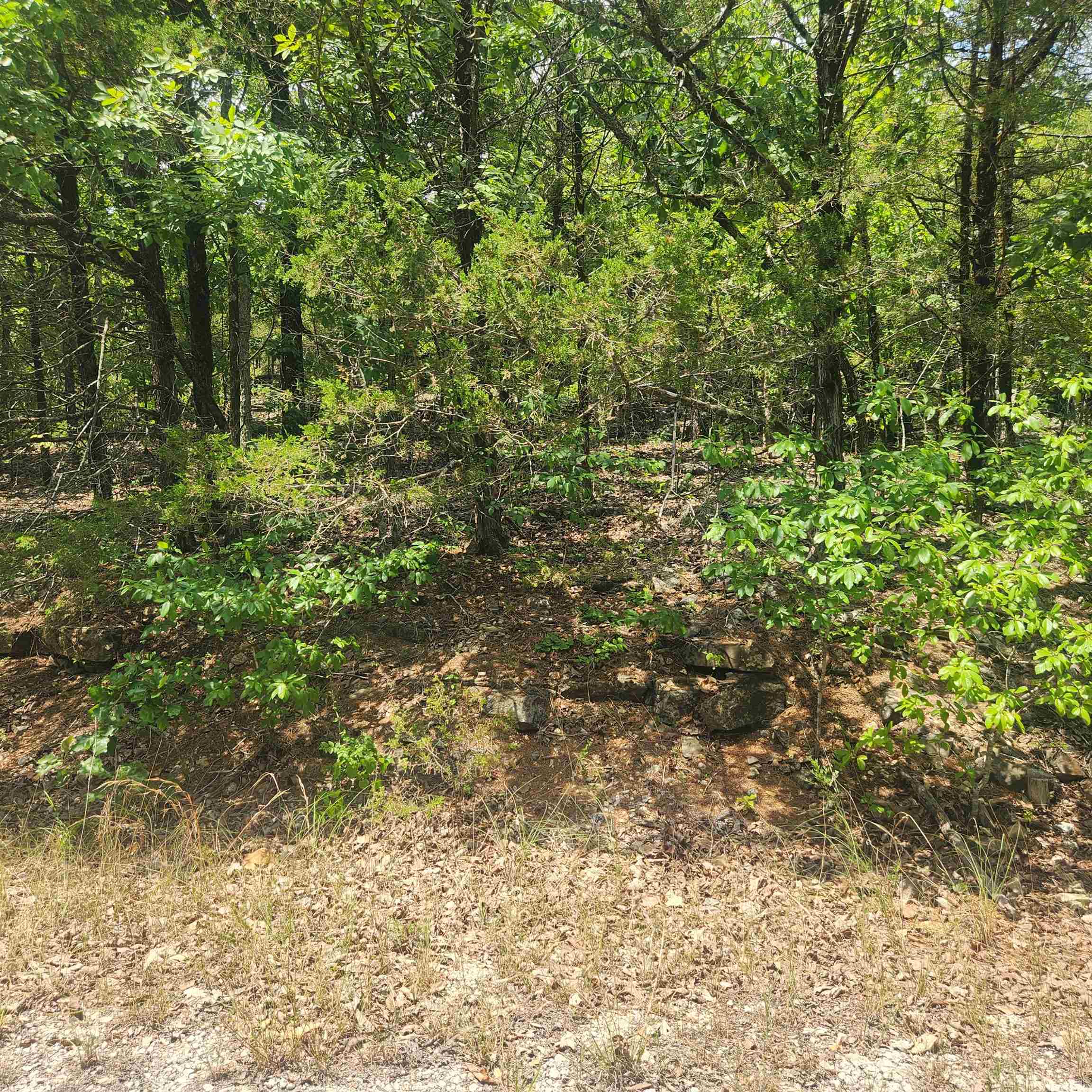 Photo 3 - Vacant Land for sale – L-61, B-7  Lochloosa   Cherokee Village, AR