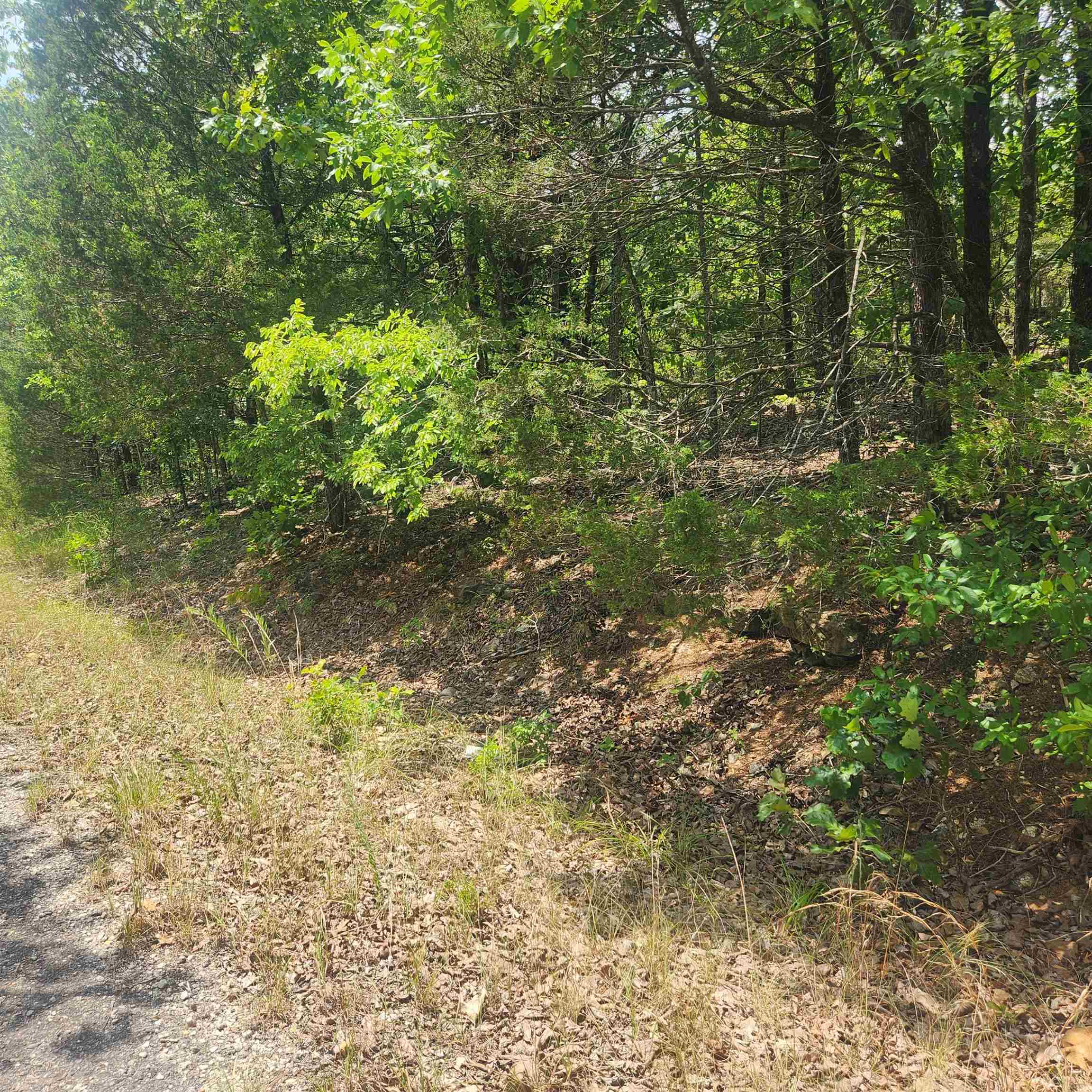 Photo 4 - Vacant Land for sale – L-61, B-7  Lochloosa   Cherokee Village, AR