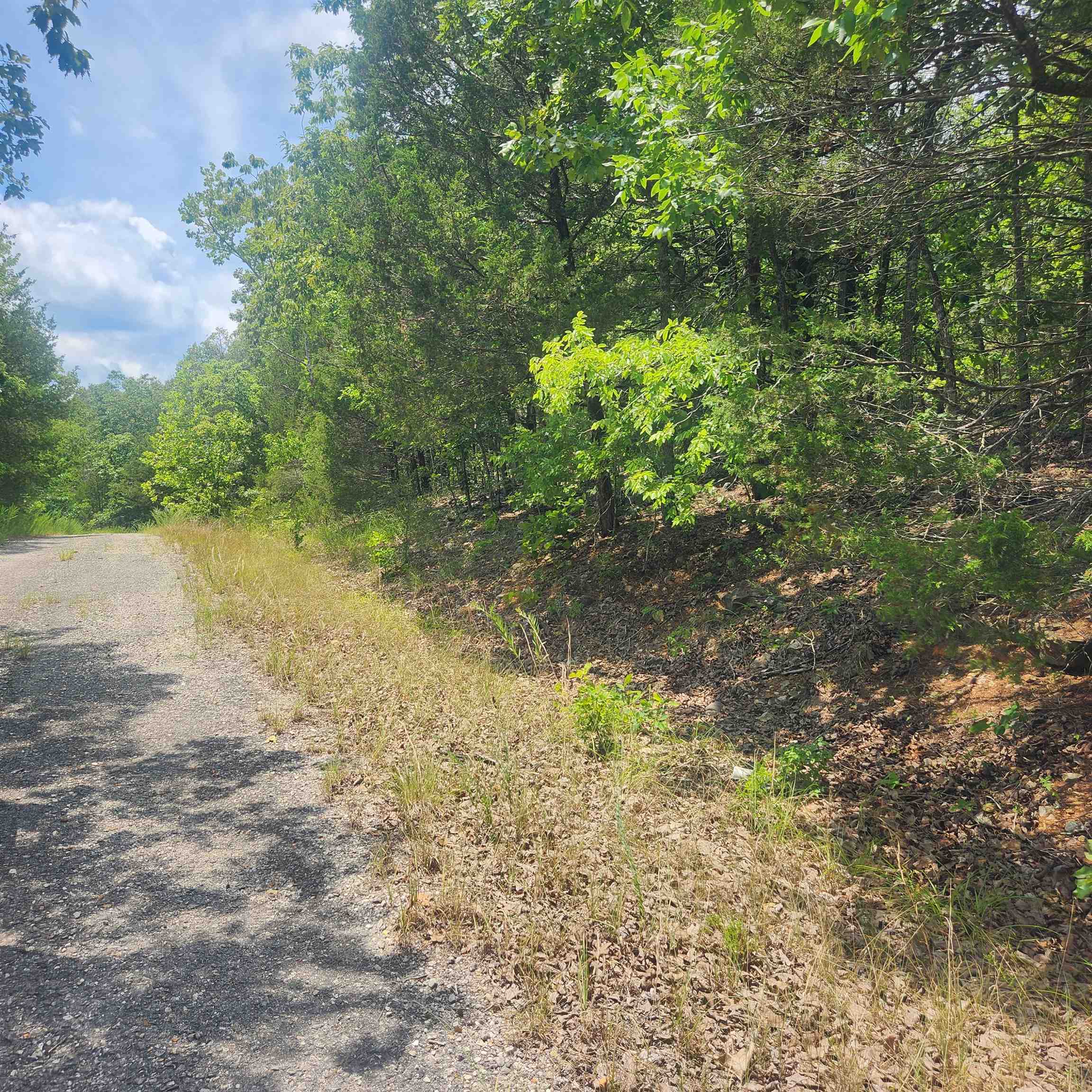 Photo 5 - Vacant Land for sale – L-61, B-7  Lochloosa   Cherokee Village, AR