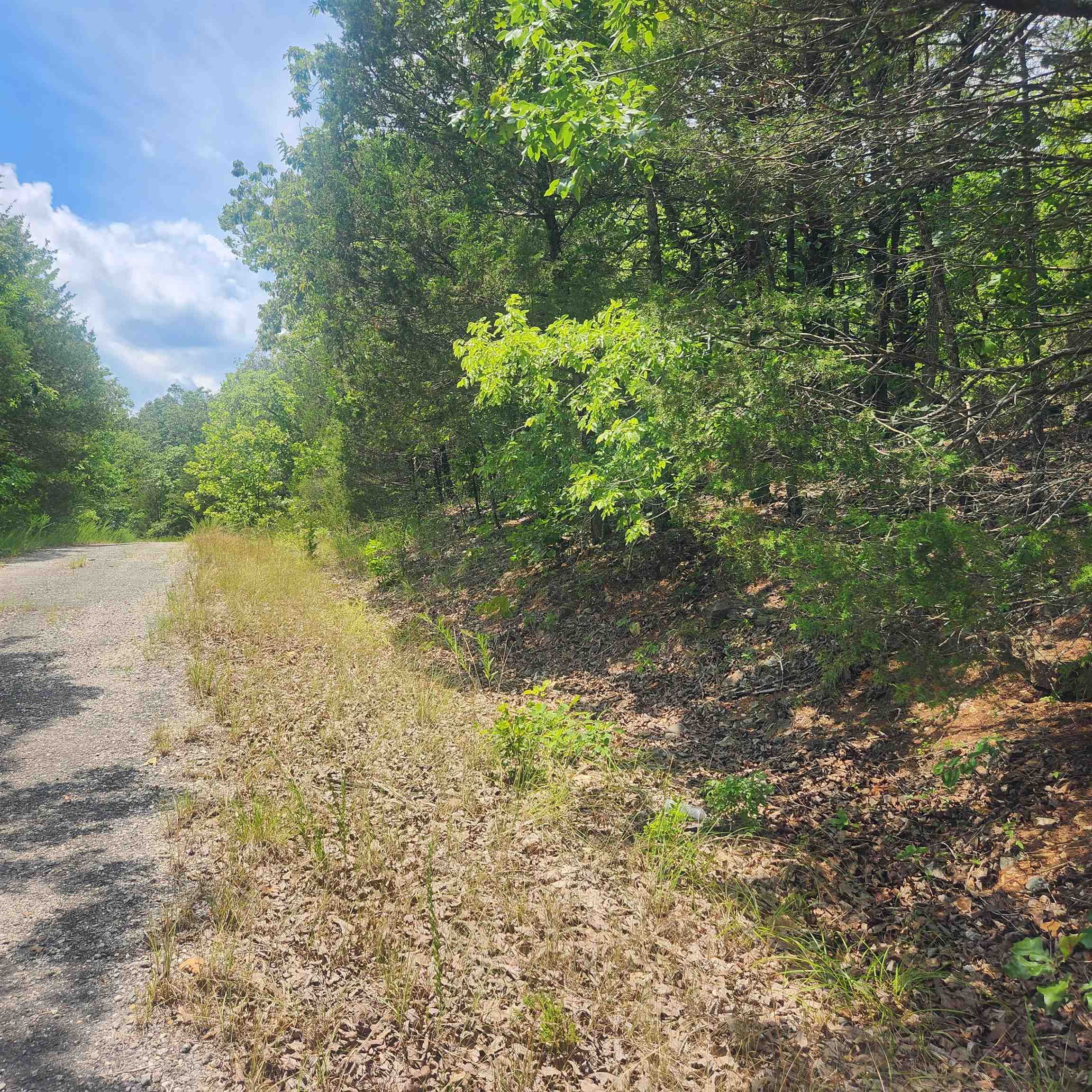 Photo 6 - Vacant Land for sale – L-61, B-7  Lochloosa   Cherokee Village, AR