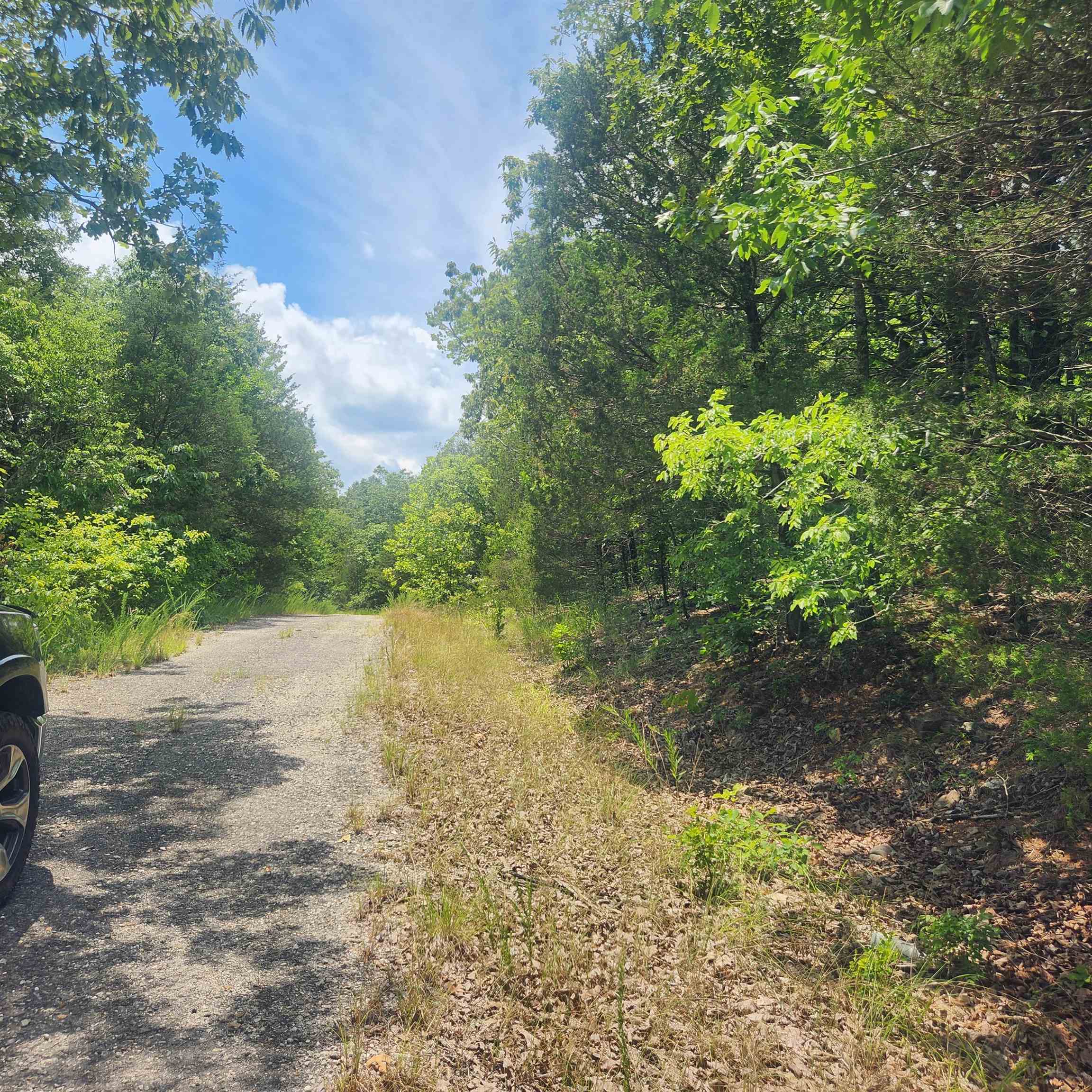 Photo 7 - Vacant Land for sale – L-61, B-7  Lochloosa   Cherokee Village, AR