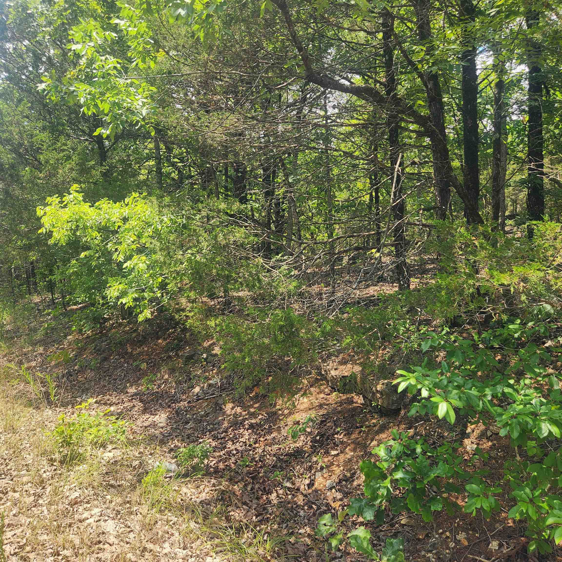 Photo 8 - Vacant Land for sale – L-61, B-7  Lochloosa   Cherokee Village, AR