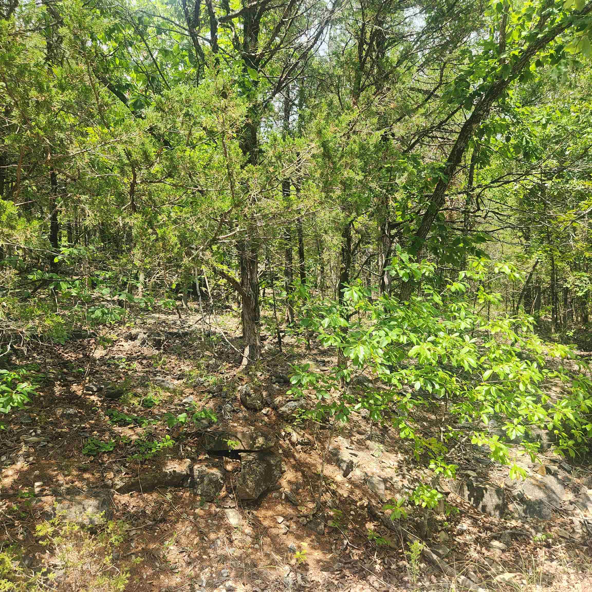 Photo 10 - Vacant Land for sale – L-61, B-7  Lochloosa   Cherokee Village, AR
