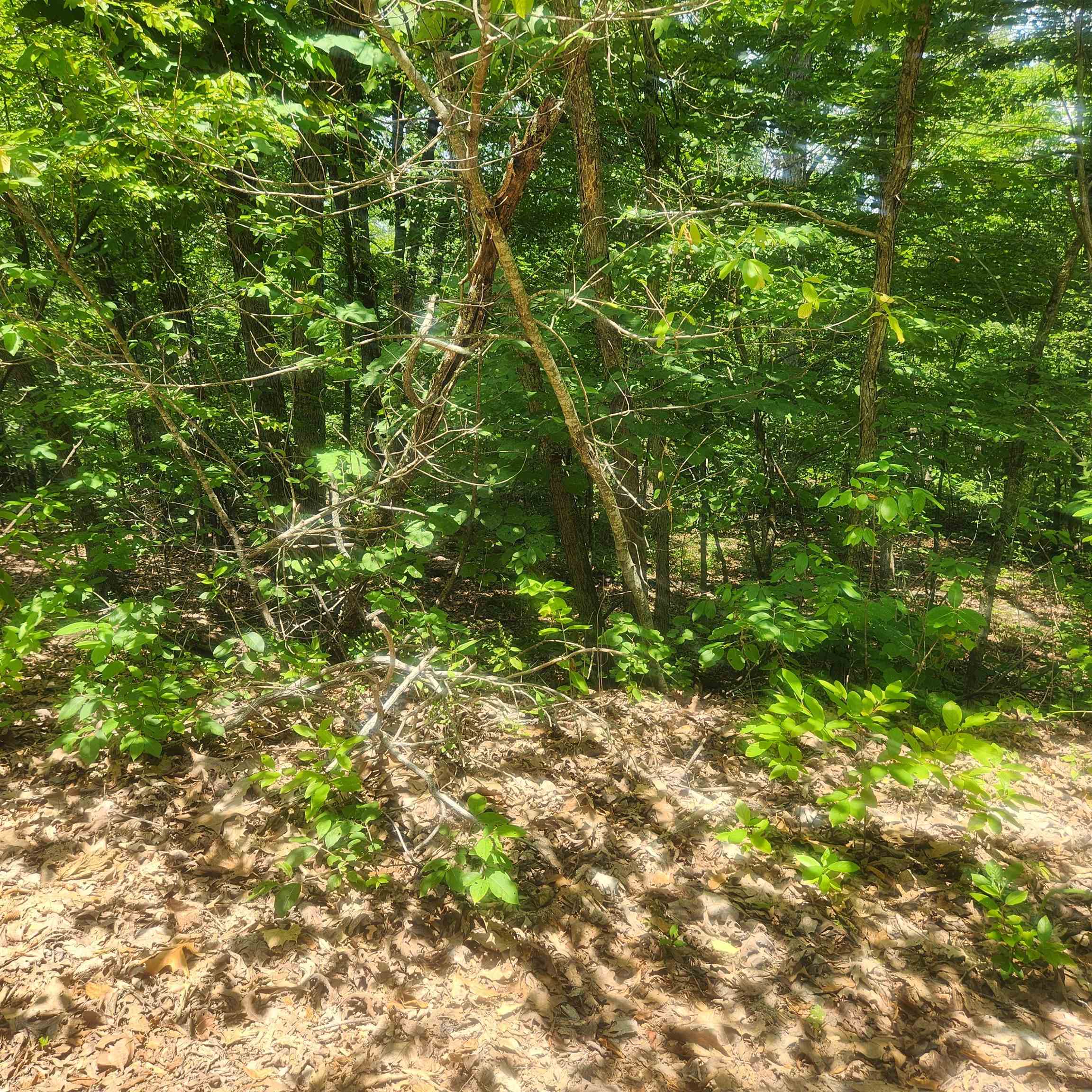 Vacant Land for sale – L-27, B-15  Goti   Cherokee Village, AR