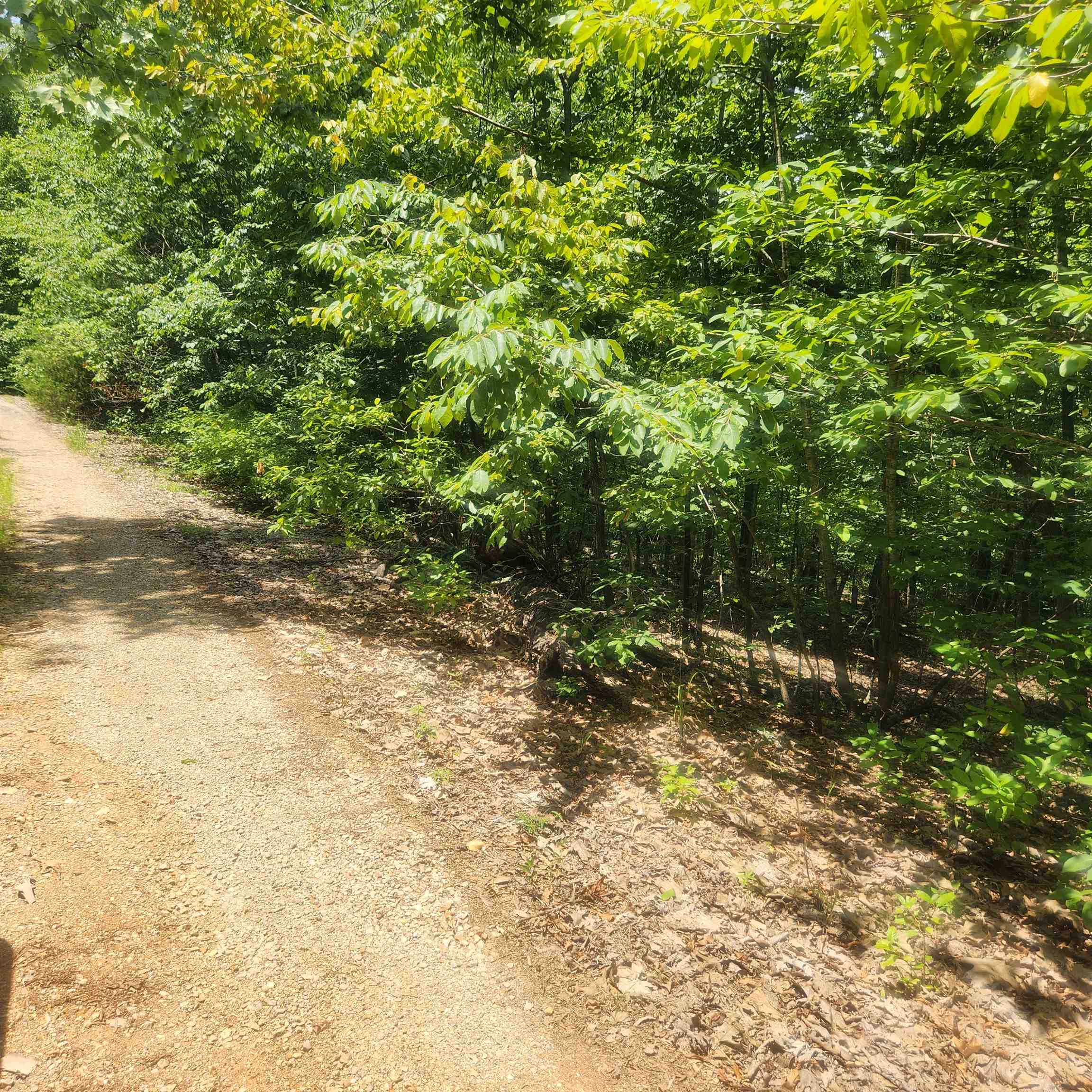 Photo 2 - Vacant Land for sale – L-27, B-15  Goti   Cherokee Village, AR