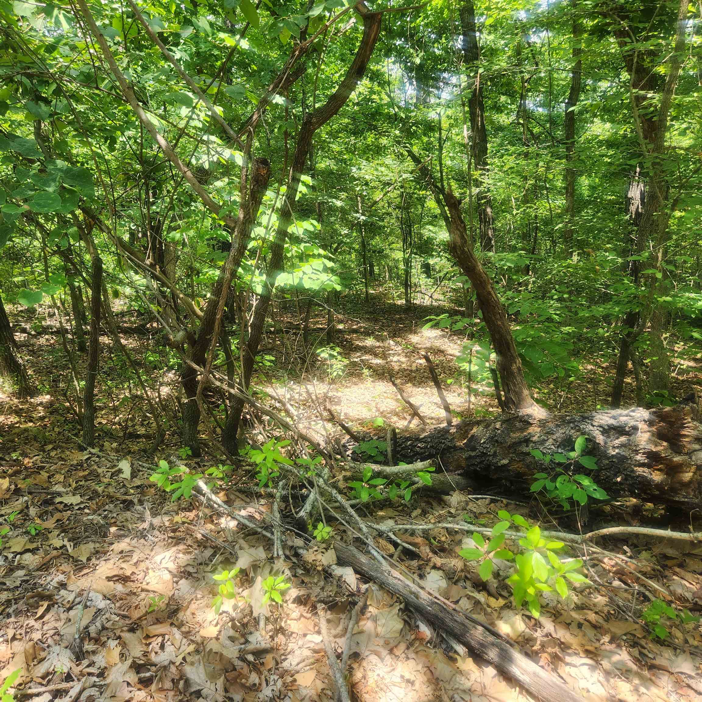 Photo 11 - Vacant Land for sale – L-27, B-15  Goti   Cherokee Village, AR