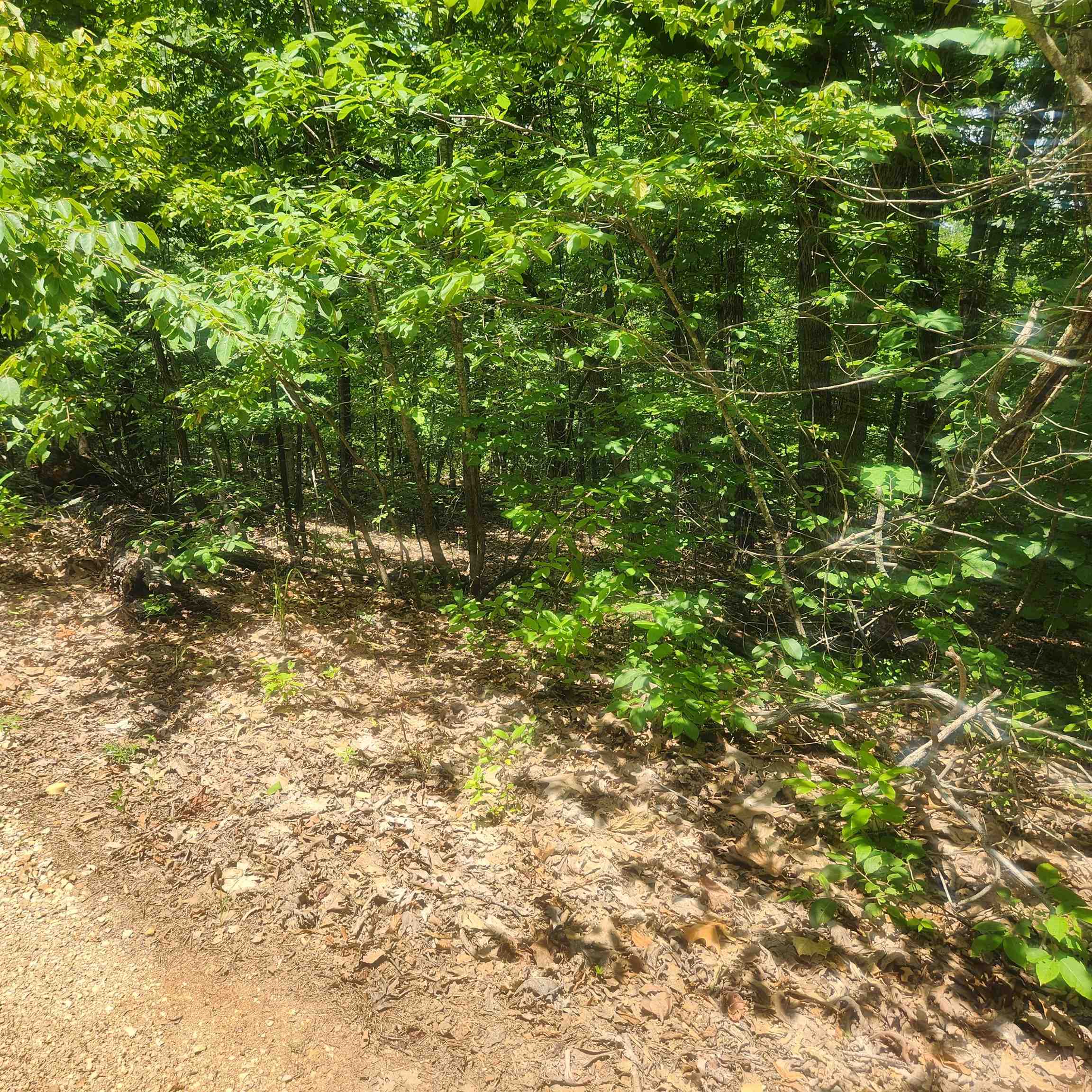 Photo 3 - Vacant Land for sale – L-27, B-15  Goti   Cherokee Village, AR