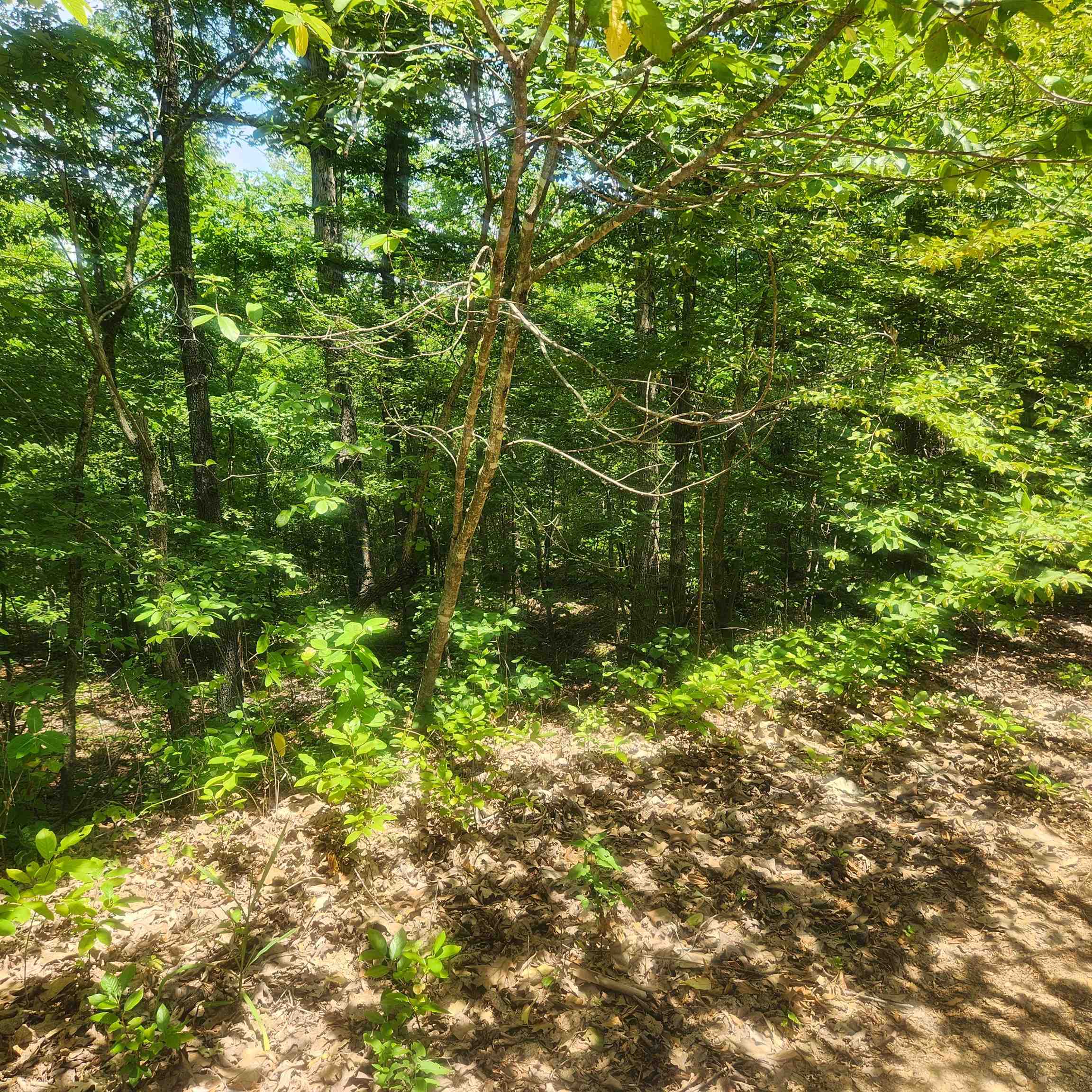 Photo 4 - Vacant Land for sale – L-27, B-15  Goti   Cherokee Village, AR
