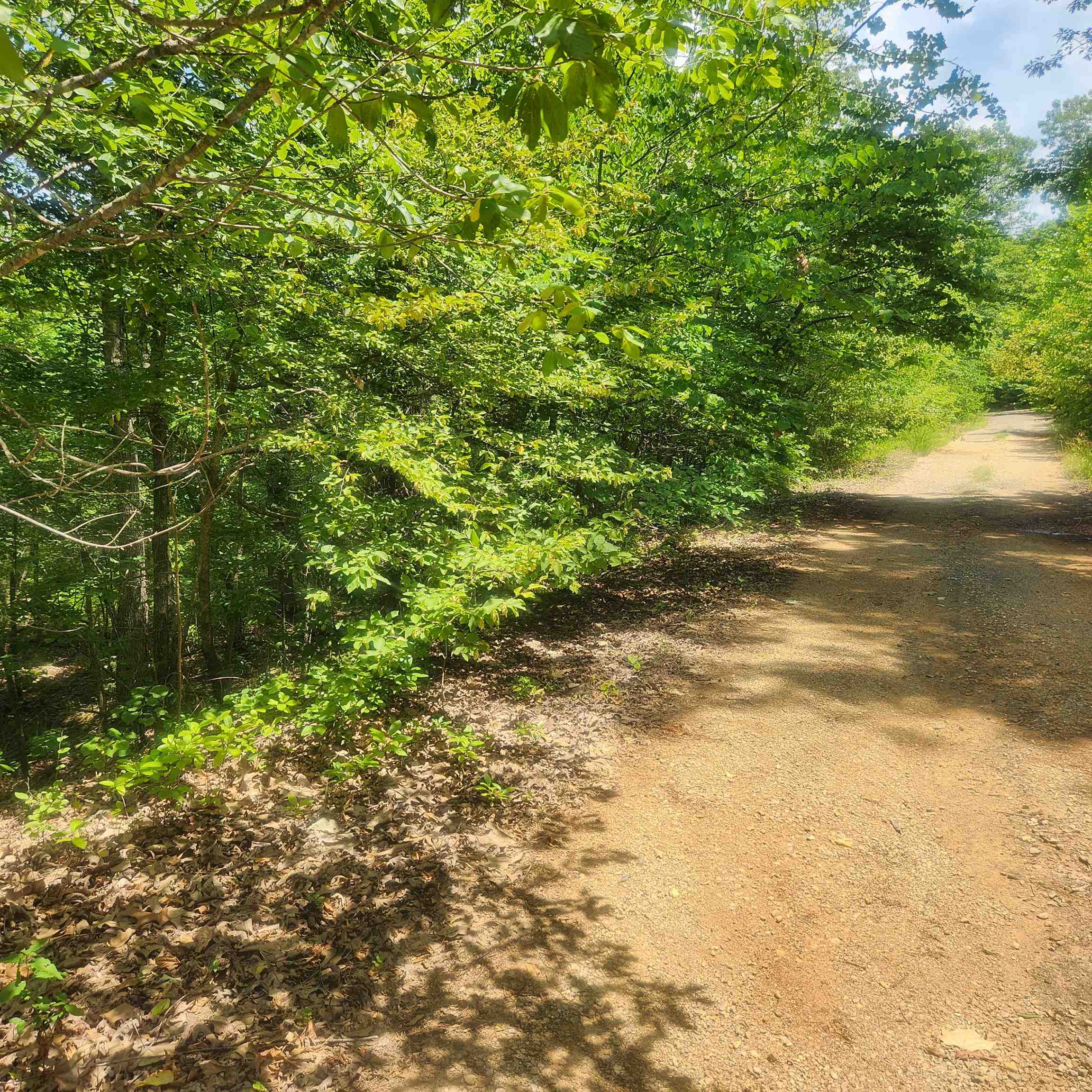 Photo 5 - Vacant Land for sale – L-27, B-15  Goti   Cherokee Village, AR
