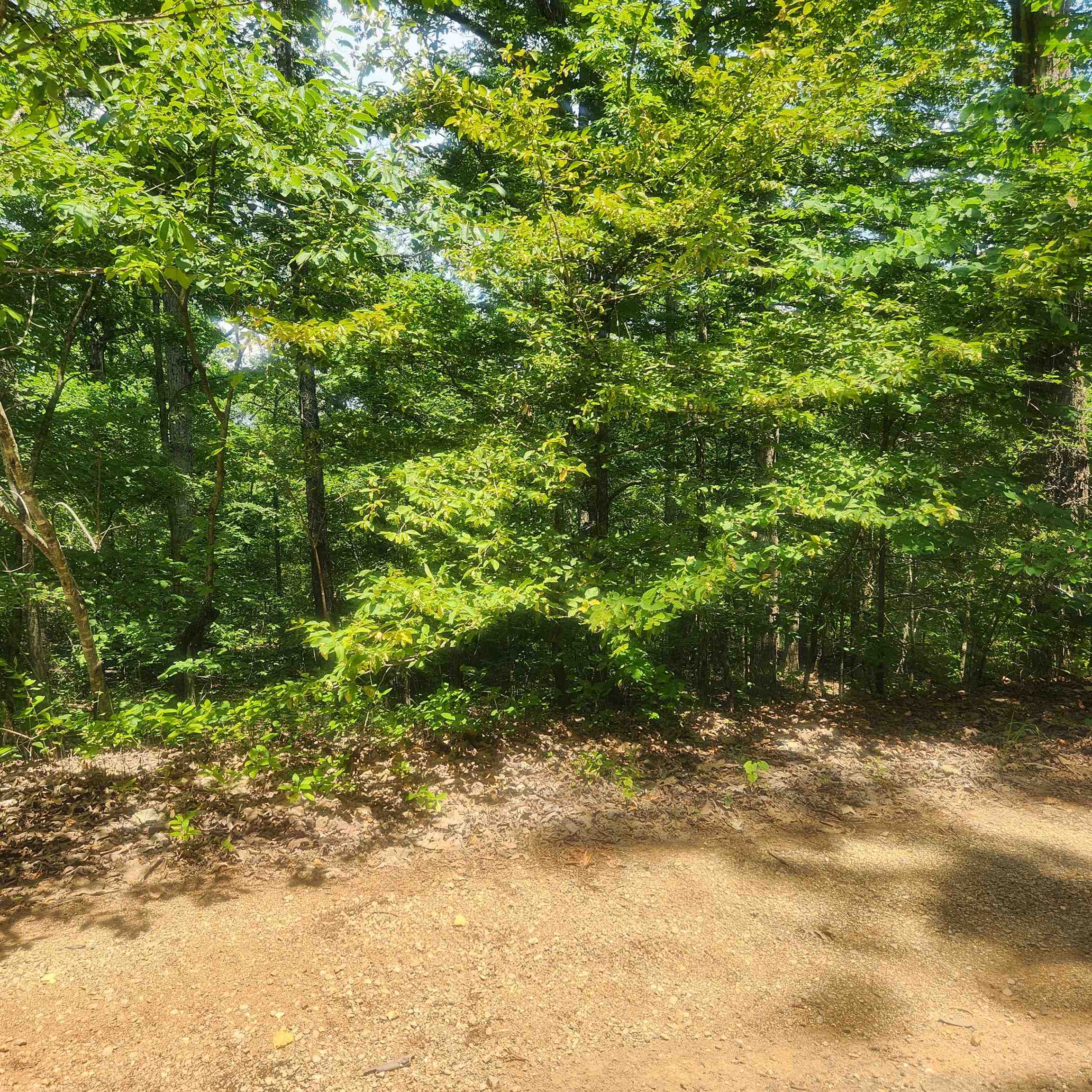 Photo 6 - Vacant Land for sale – L-27, B-15  Goti   Cherokee Village, AR