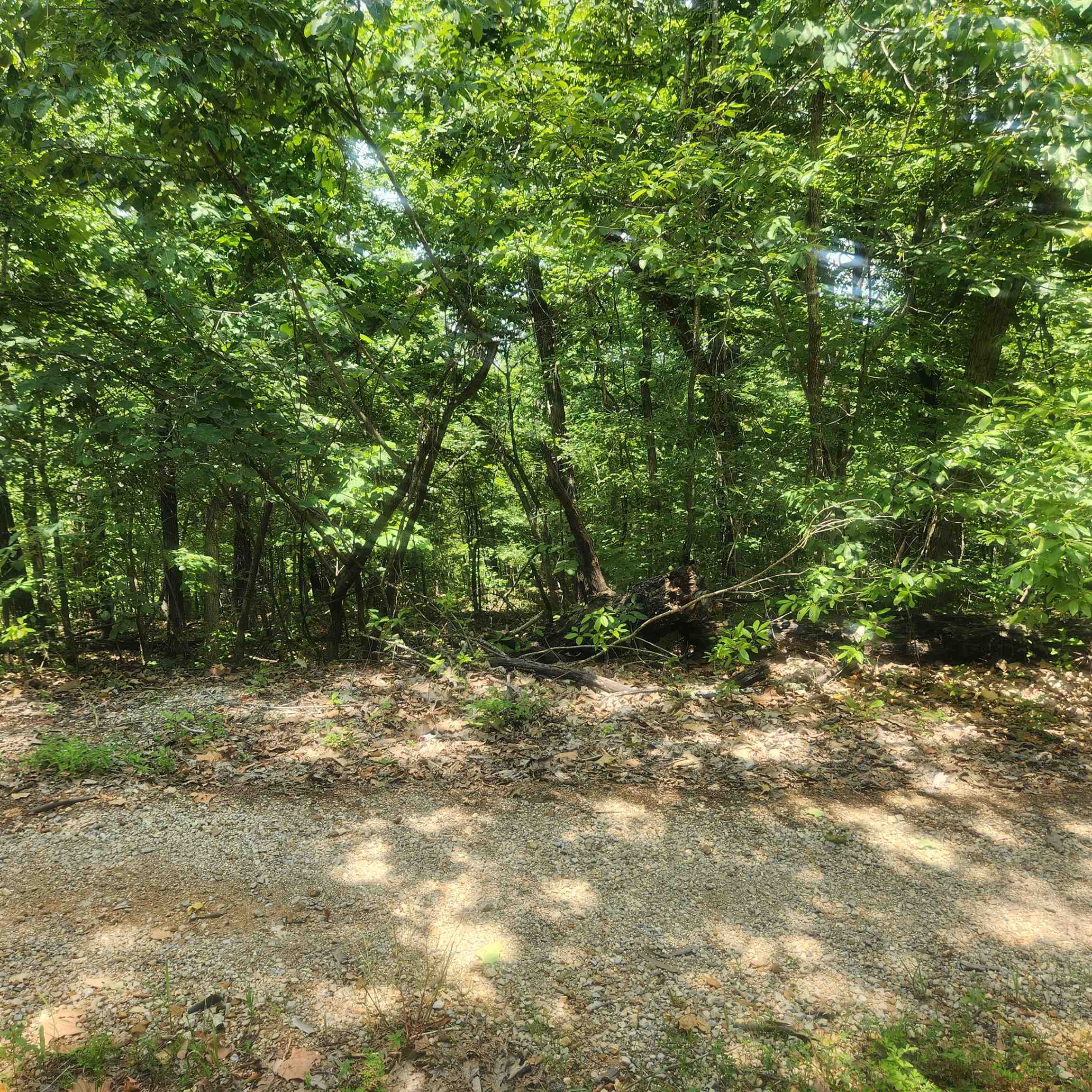 Photo 8 - Vacant Land for sale – L-27, B-15  Goti   Cherokee Village, AR