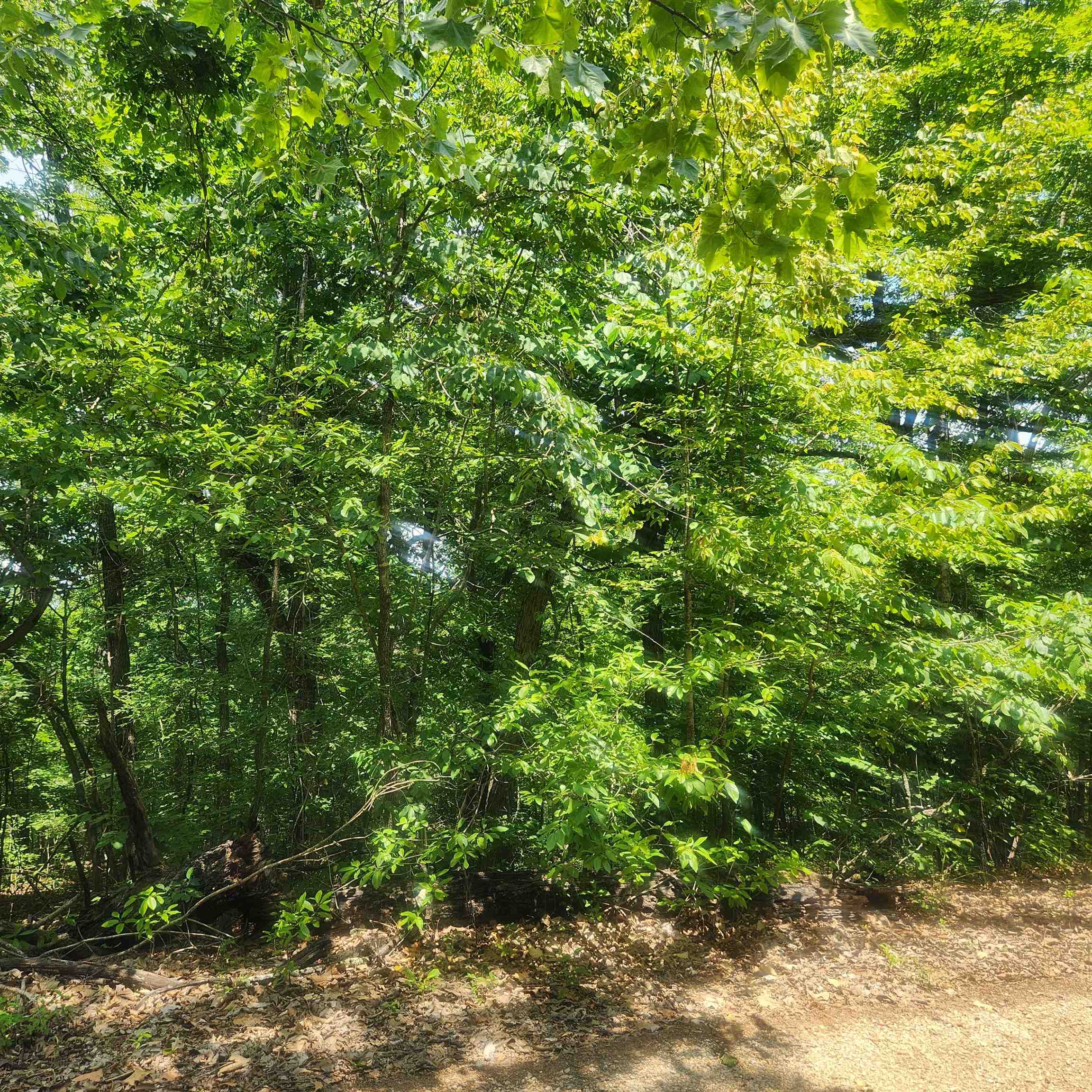 Photo 9 - Vacant Land for sale – L-27, B-15  Goti   Cherokee Village, AR