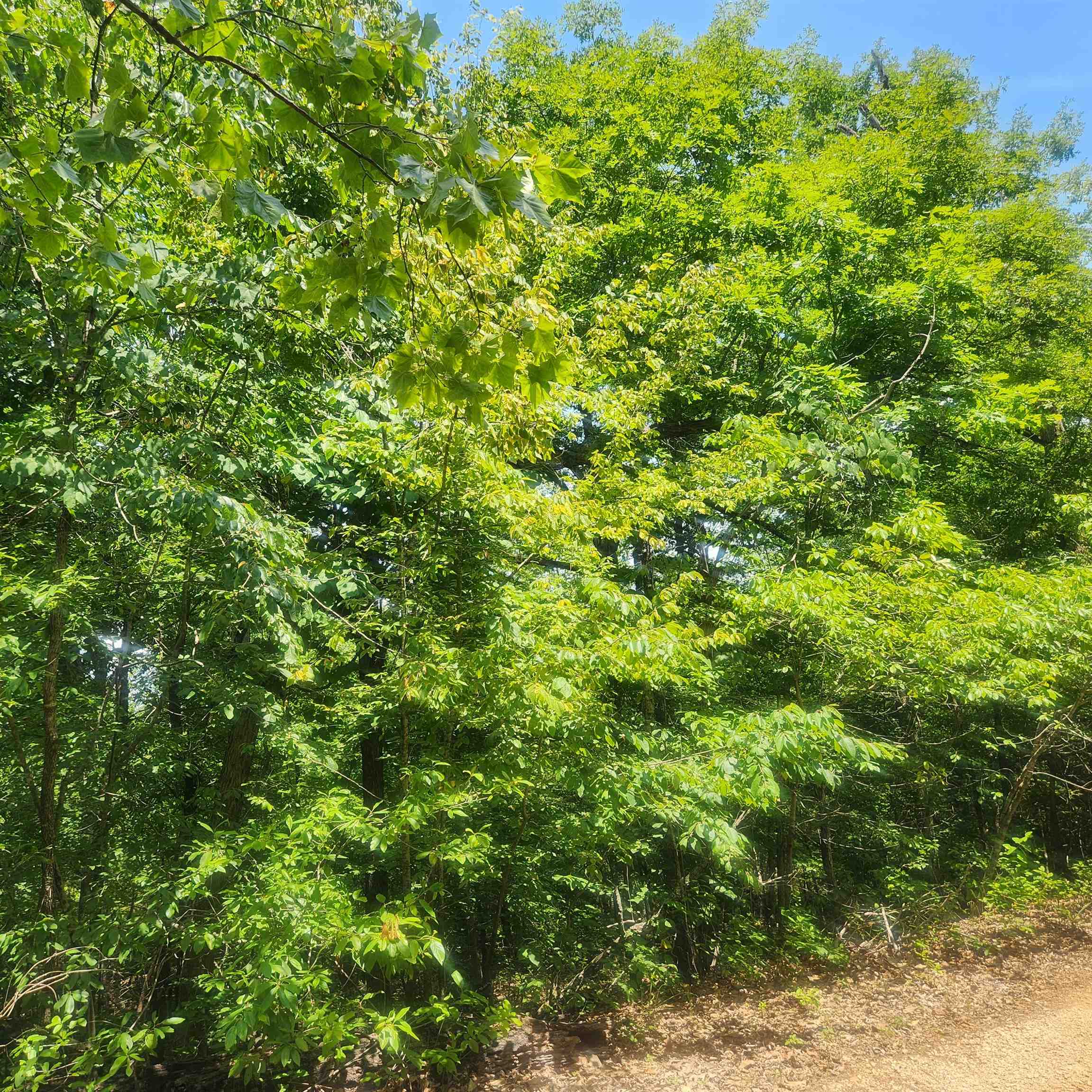 Photo 10 - Vacant Land for sale – L-27, B-15  Goti   Cherokee Village, AR