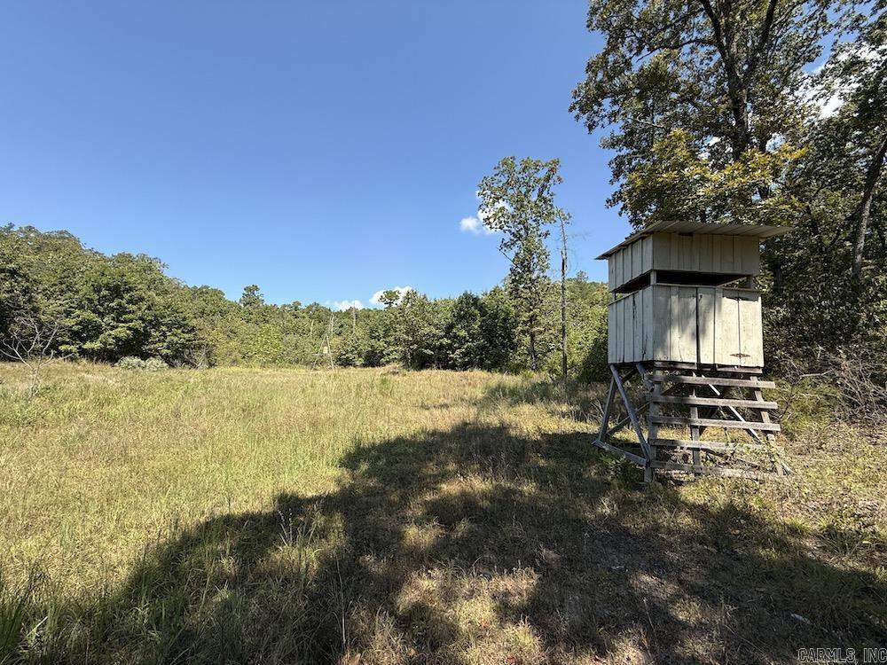 Photo 2 - Vacant Land for sale –   Haw Mountain Cemetery Road   Calico Rock, AR