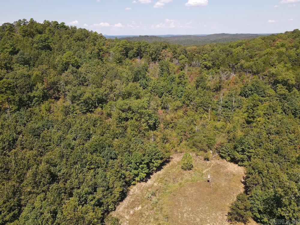 Photo 11 - Vacant Land for sale –   Haw Mountain Cemetery Road   Calico Rock, AR