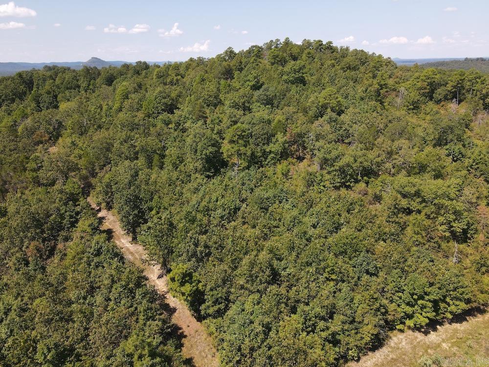Photo 12 - Vacant Land for sale –   Haw Mountain Cemetery Road   Calico Rock, AR