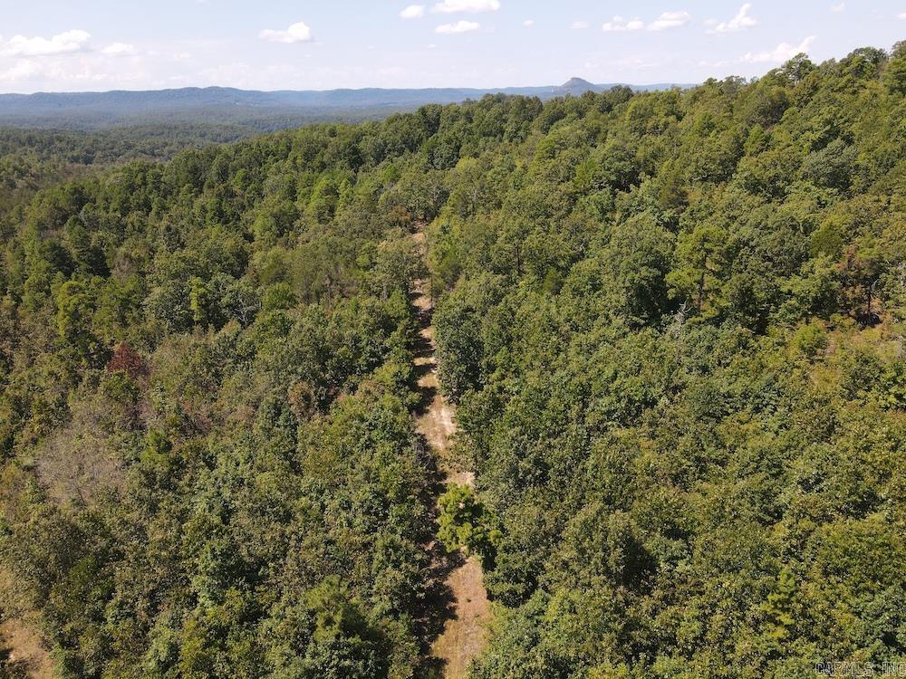 Photo 13 - Vacant Land for sale –   Haw Mountain Cemetery Road   Calico Rock, AR