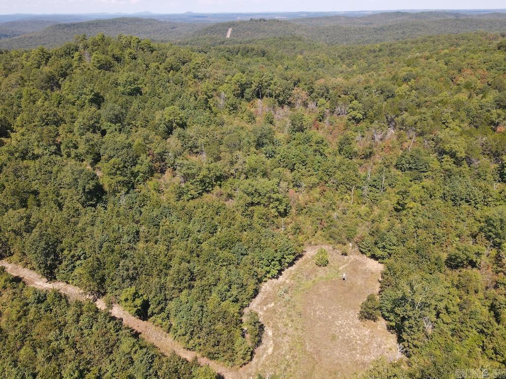Photo 14 - Vacant Land for sale –   Haw Mountain Cemetery Road   Calico Rock, AR