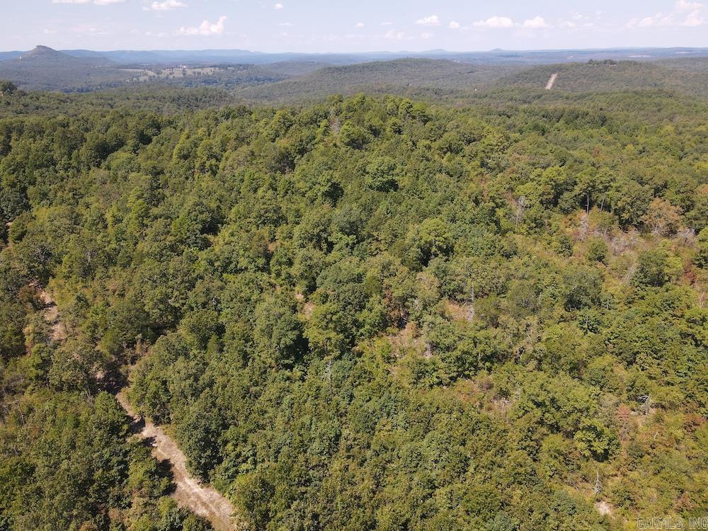 Photo 15 - Vacant Land for sale –   Haw Mountain Cemetery Road   Calico Rock, AR