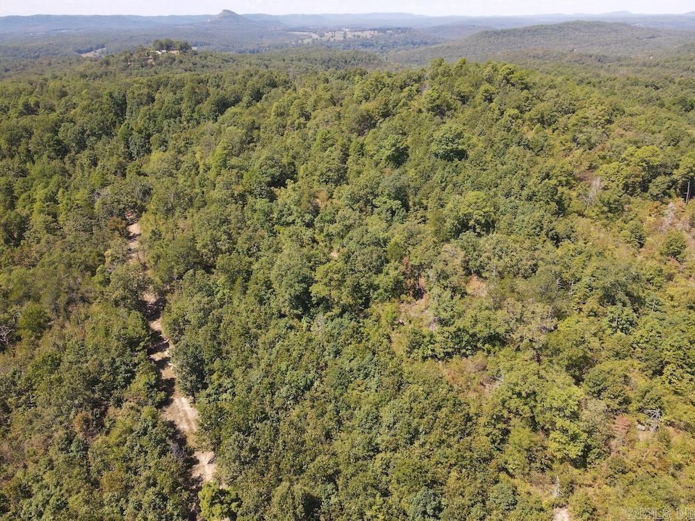 Photo 16 - Vacant Land for sale –   Haw Mountain Cemetery Road   Calico Rock, AR