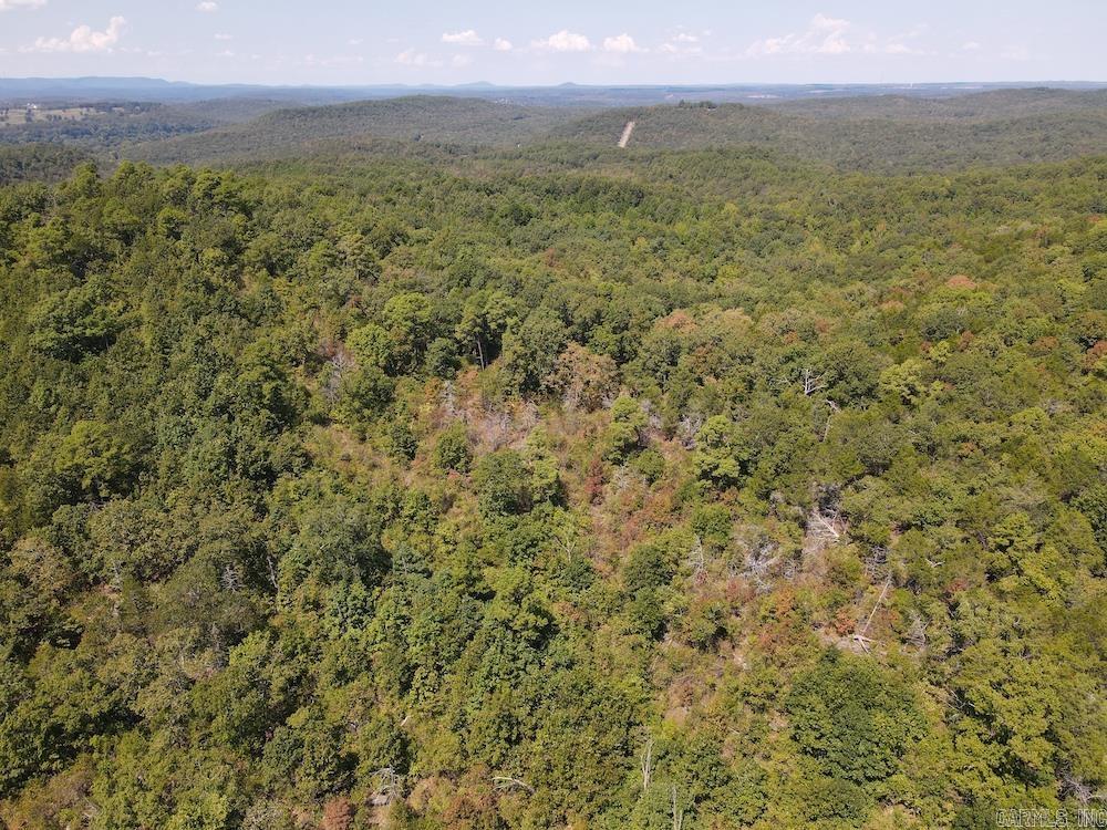 Photo 17 - Vacant Land for sale –   Haw Mountain Cemetery Road   Calico Rock, AR