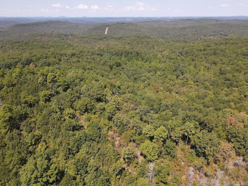 Photo 18 - Vacant Land for sale –   Haw Mountain Cemetery Road   Calico Rock, AR