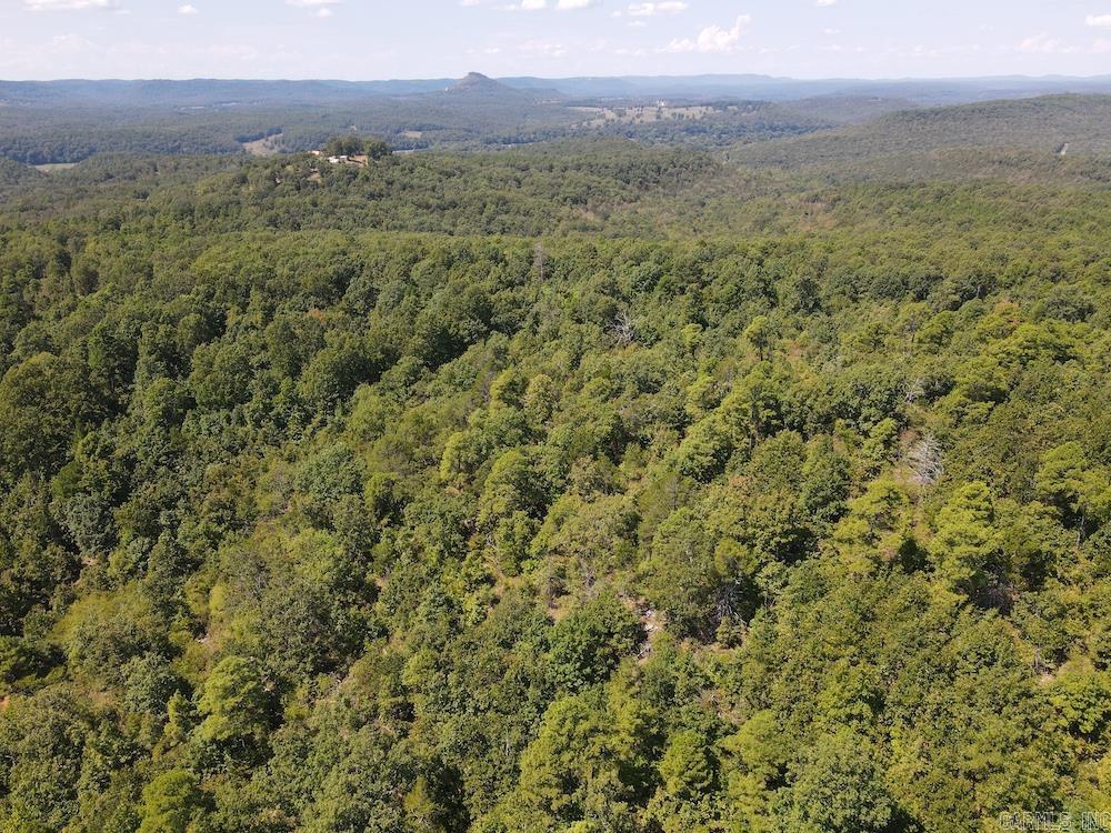 Photo 19 - Vacant Land for sale –   Haw Mountain Cemetery Road   Calico Rock, AR
