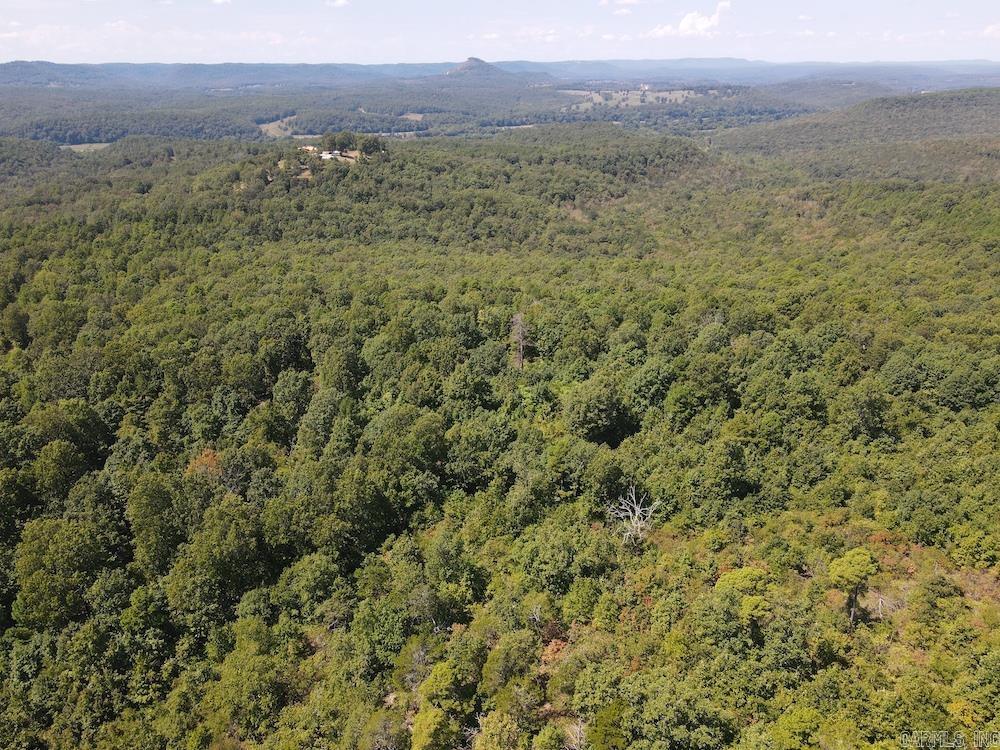 Photo 20 - Vacant Land for sale –   Haw Mountain Cemetery Road   Calico Rock, AR