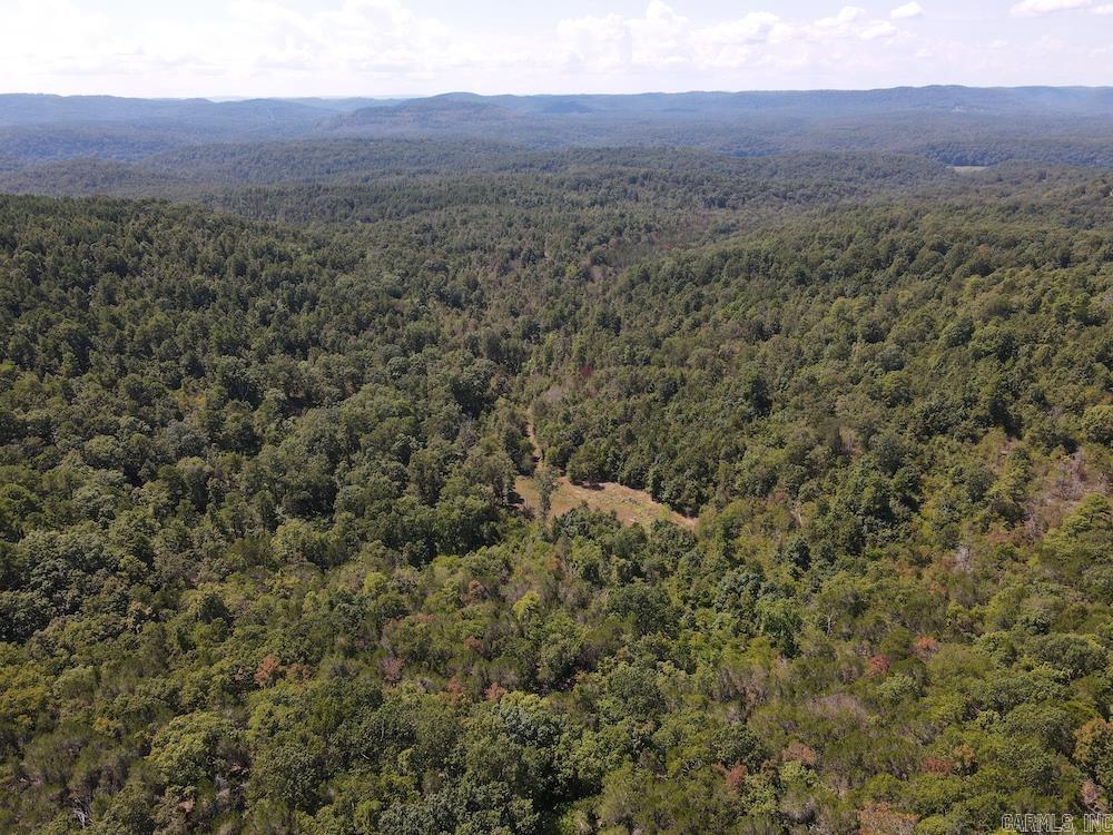 Photo 3 - Vacant Land for sale –   Haw Mountain Cemetery Road   Calico Rock, AR
