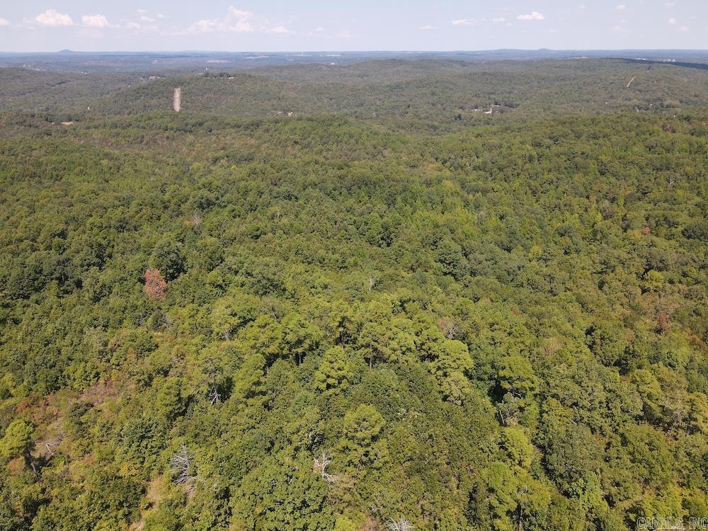 Photo 21 - Vacant Land for sale –   Haw Mountain Cemetery Road   Calico Rock, AR