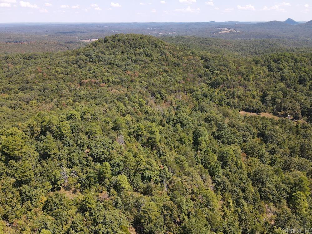 Photo 22 - Vacant Land for sale –   Haw Mountain Cemetery Road   Calico Rock, AR