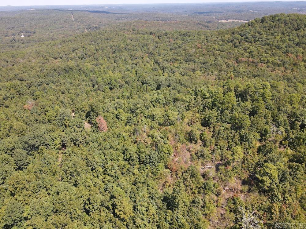 Photo 23 - Vacant Land for sale –   Haw Mountain Cemetery Road   Calico Rock, AR