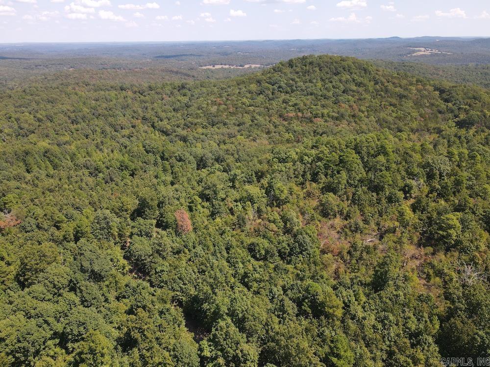 Photo 24 - Vacant Land for sale –   Haw Mountain Cemetery Road   Calico Rock, AR