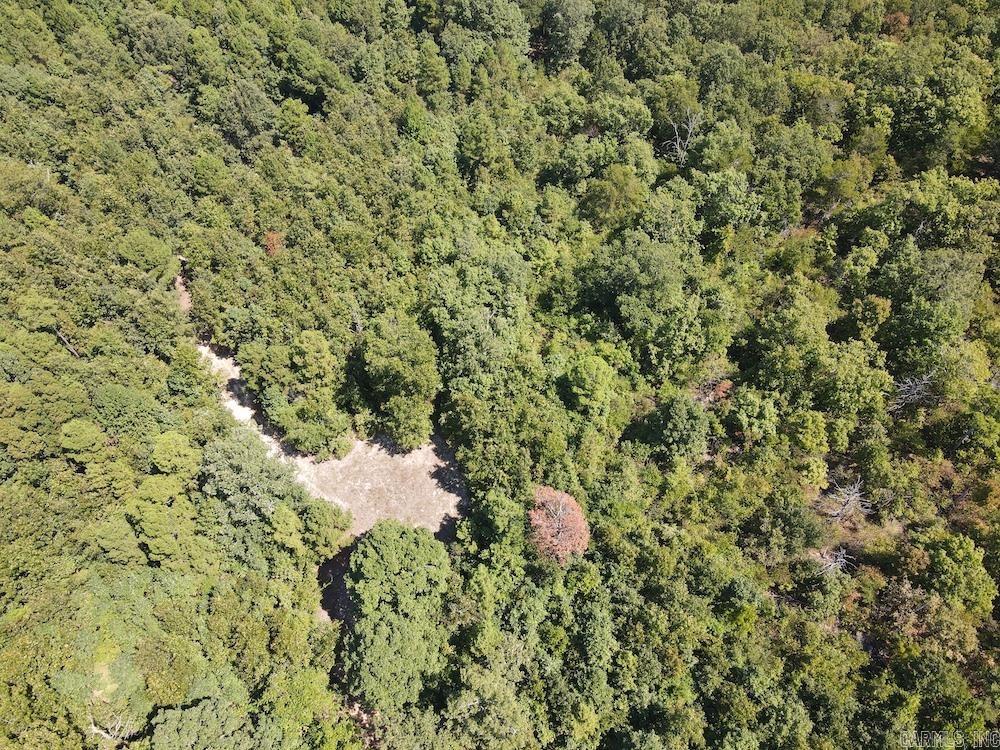 Photo 25 - Vacant Land for sale –   Haw Mountain Cemetery Road   Calico Rock, AR