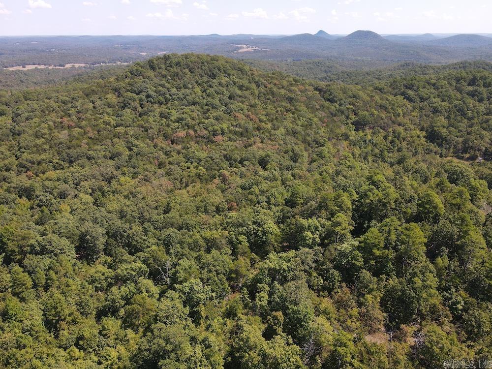 Photo 26 - Vacant Land for sale –   Haw Mountain Cemetery Road   Calico Rock, AR