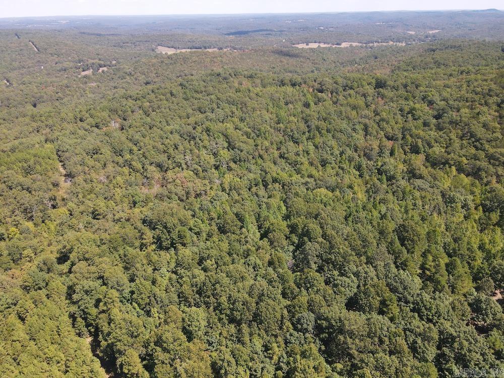 Photo 27 - Vacant Land for sale –   Haw Mountain Cemetery Road   Calico Rock, AR