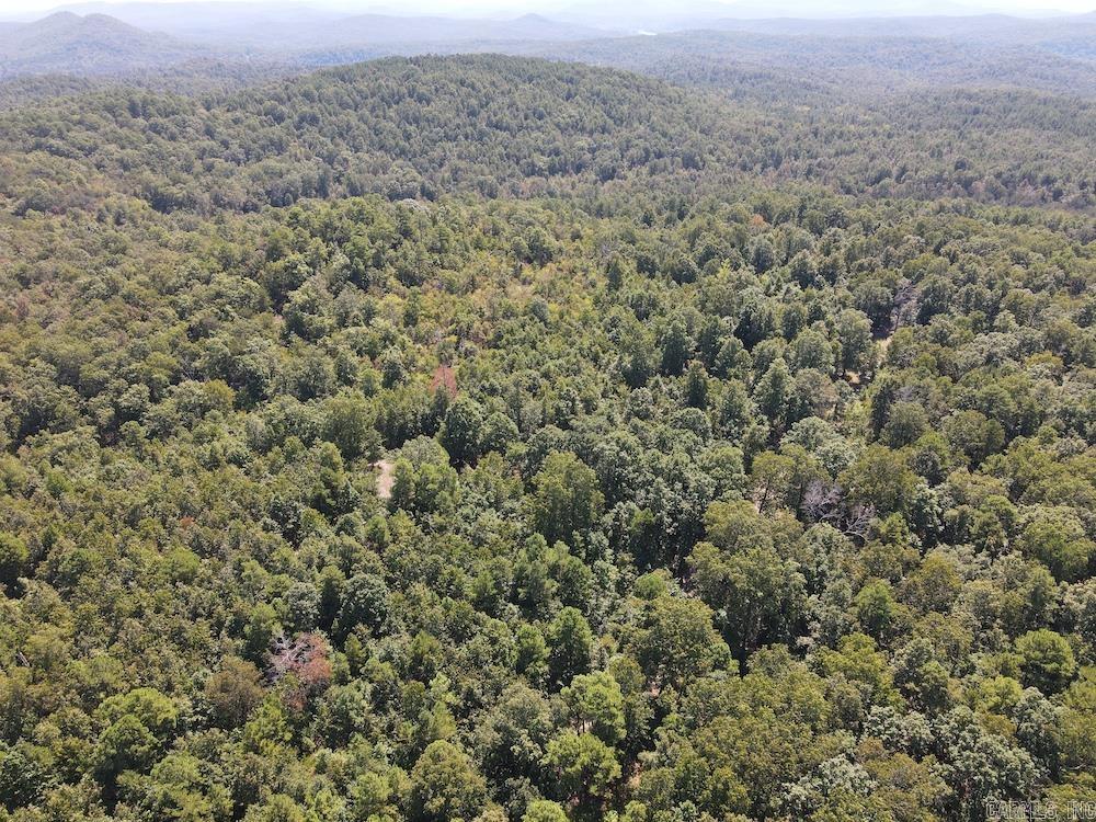 Photo 28 - Vacant Land for sale –   Haw Mountain Cemetery Road   Calico Rock, AR