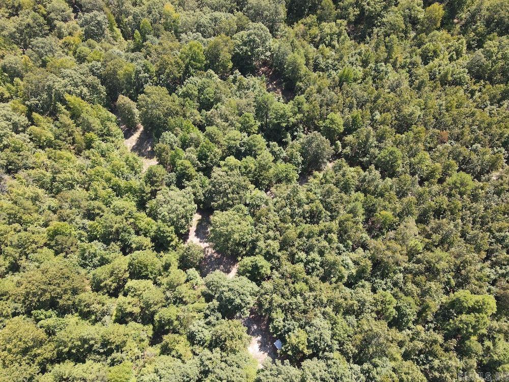 Photo 29 - Vacant Land for sale –   Haw Mountain Cemetery Road   Calico Rock, AR