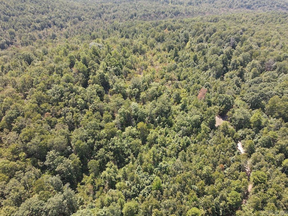 Photo 30 - Vacant Land for sale –   Haw Mountain Cemetery Road   Calico Rock, AR